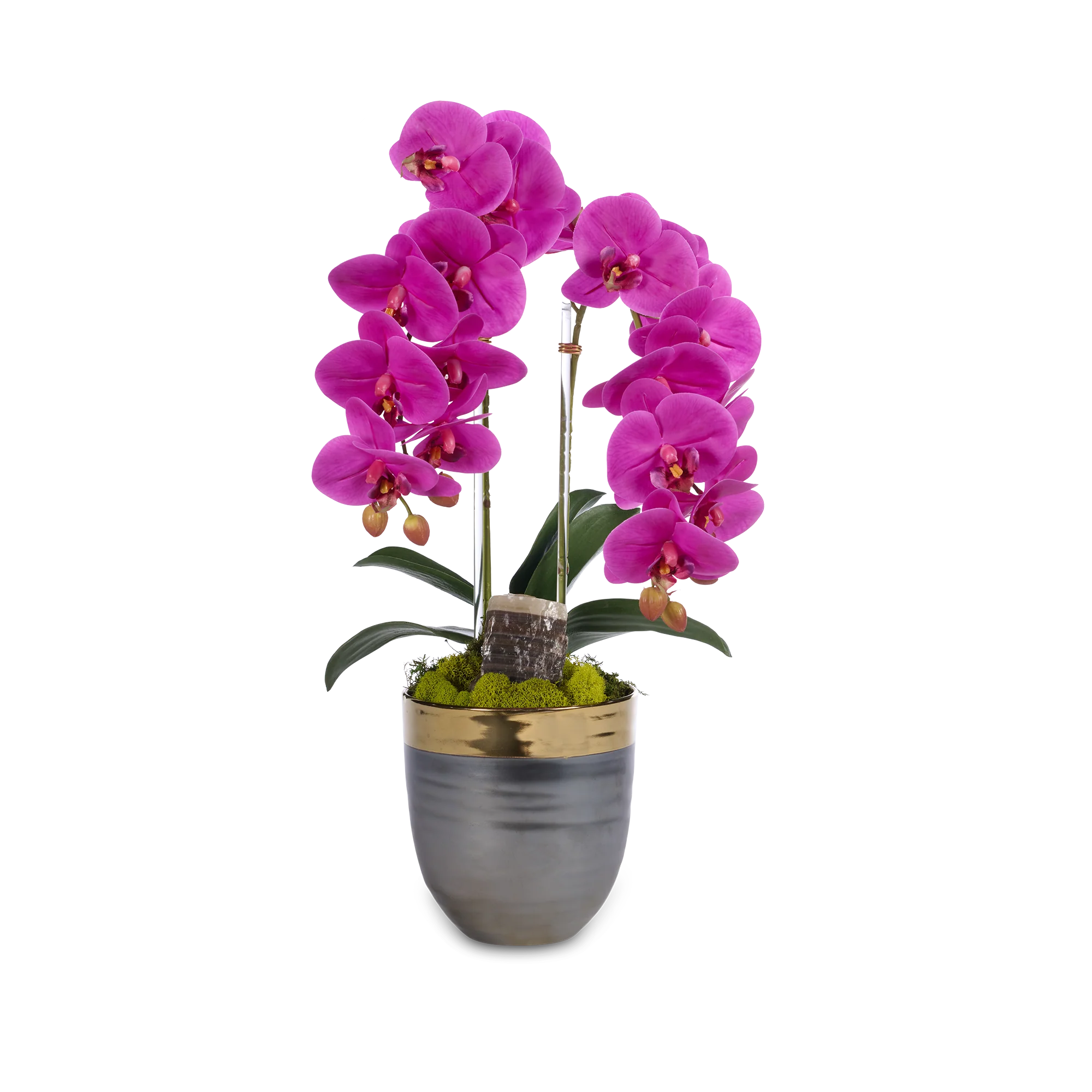 Double Orchids in Bronze Container with Gold Rim