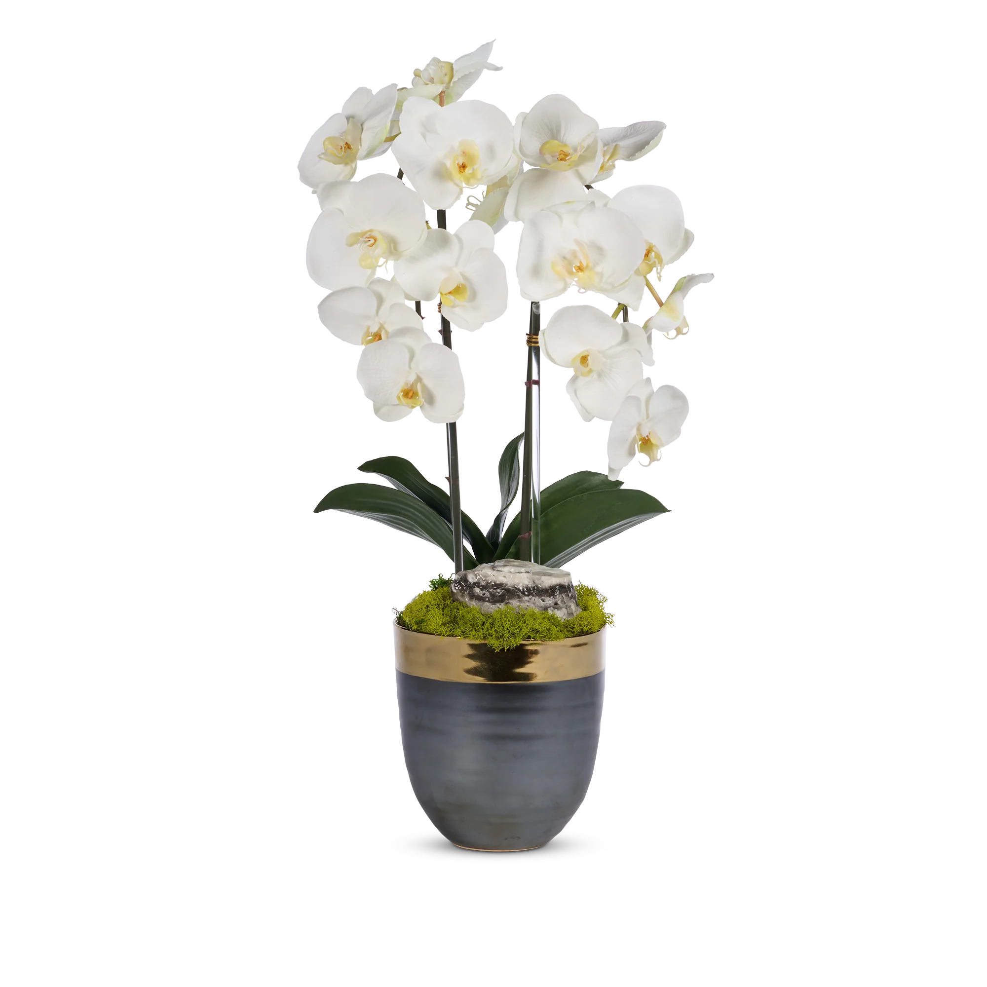 Double Orchids in Bronze Container with Gold Rim - Image 3