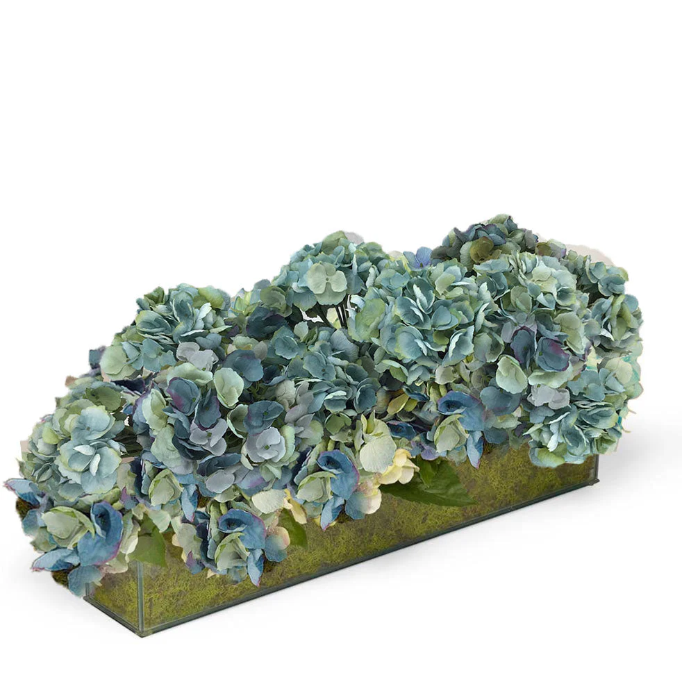 Hydrangeas in Glass Box