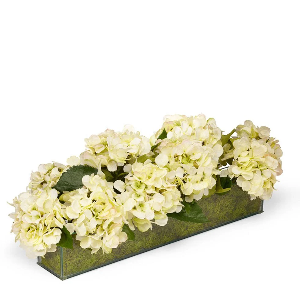 Hydrangeas in Glass Box - Image 2