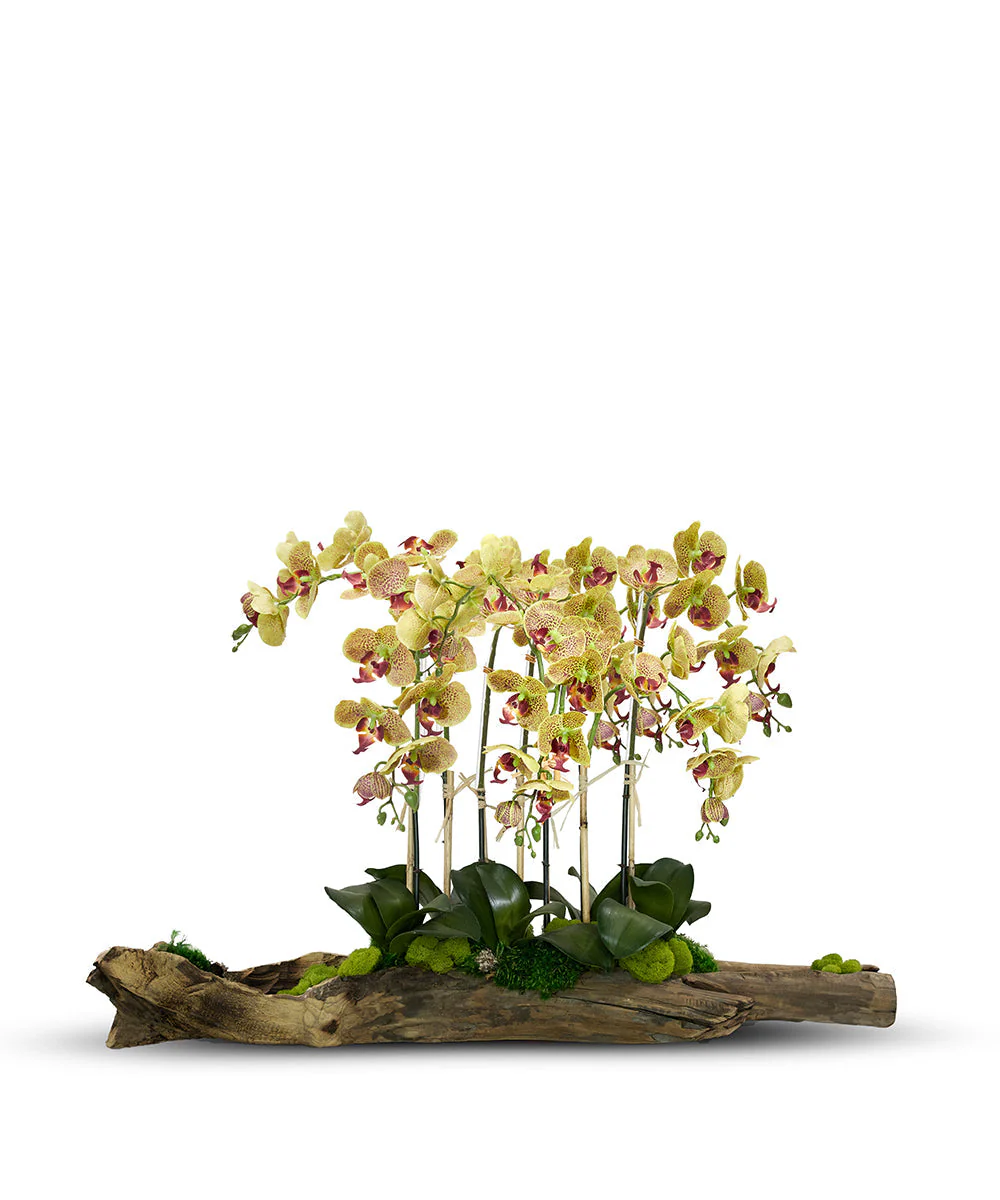 Large Log Filled with Orchids - Image 2