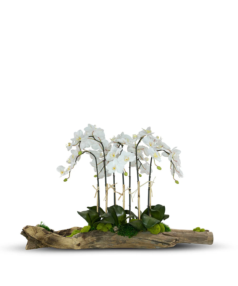 Large Log Filled with Orchids - Image 3
