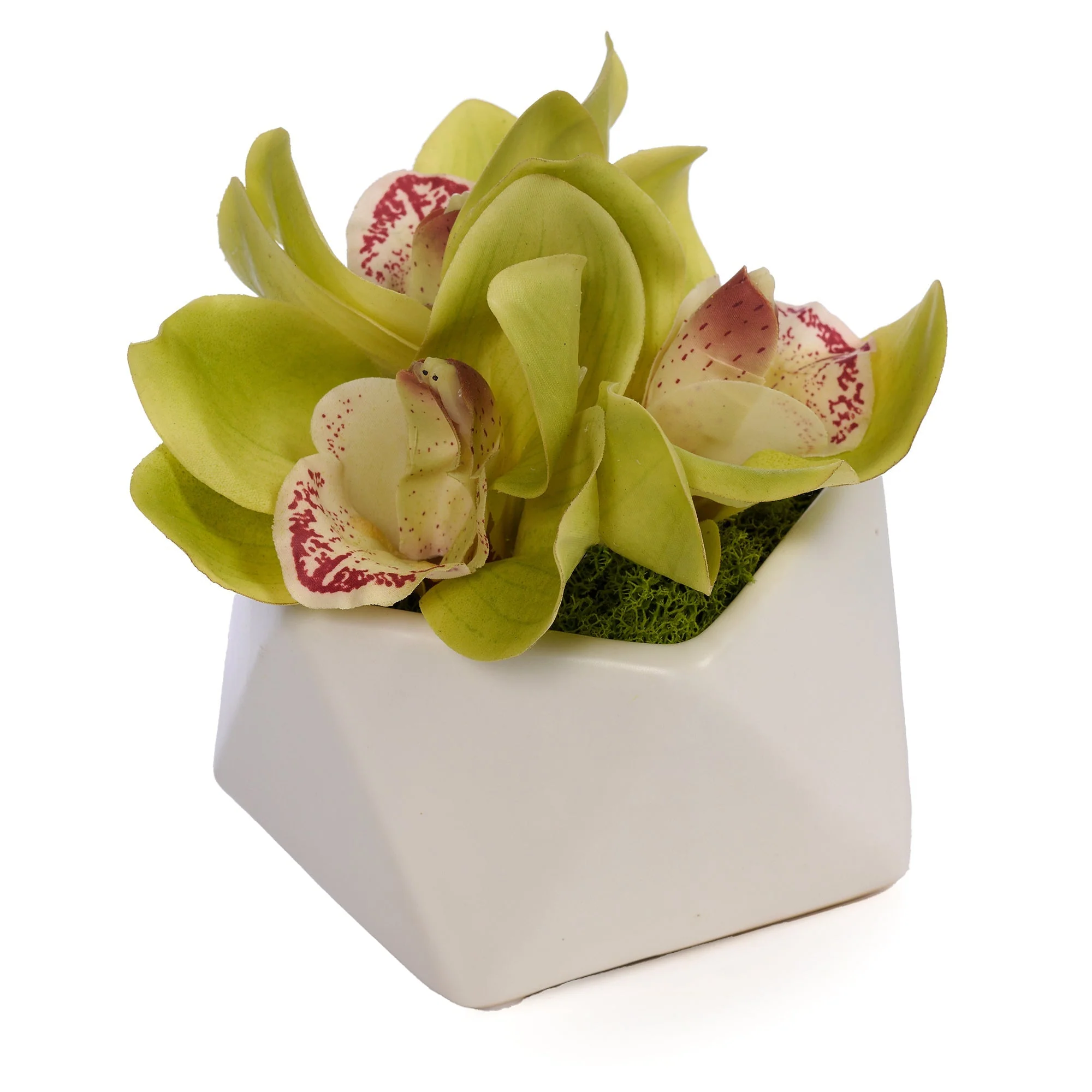 Orchid in Pod - Image 2