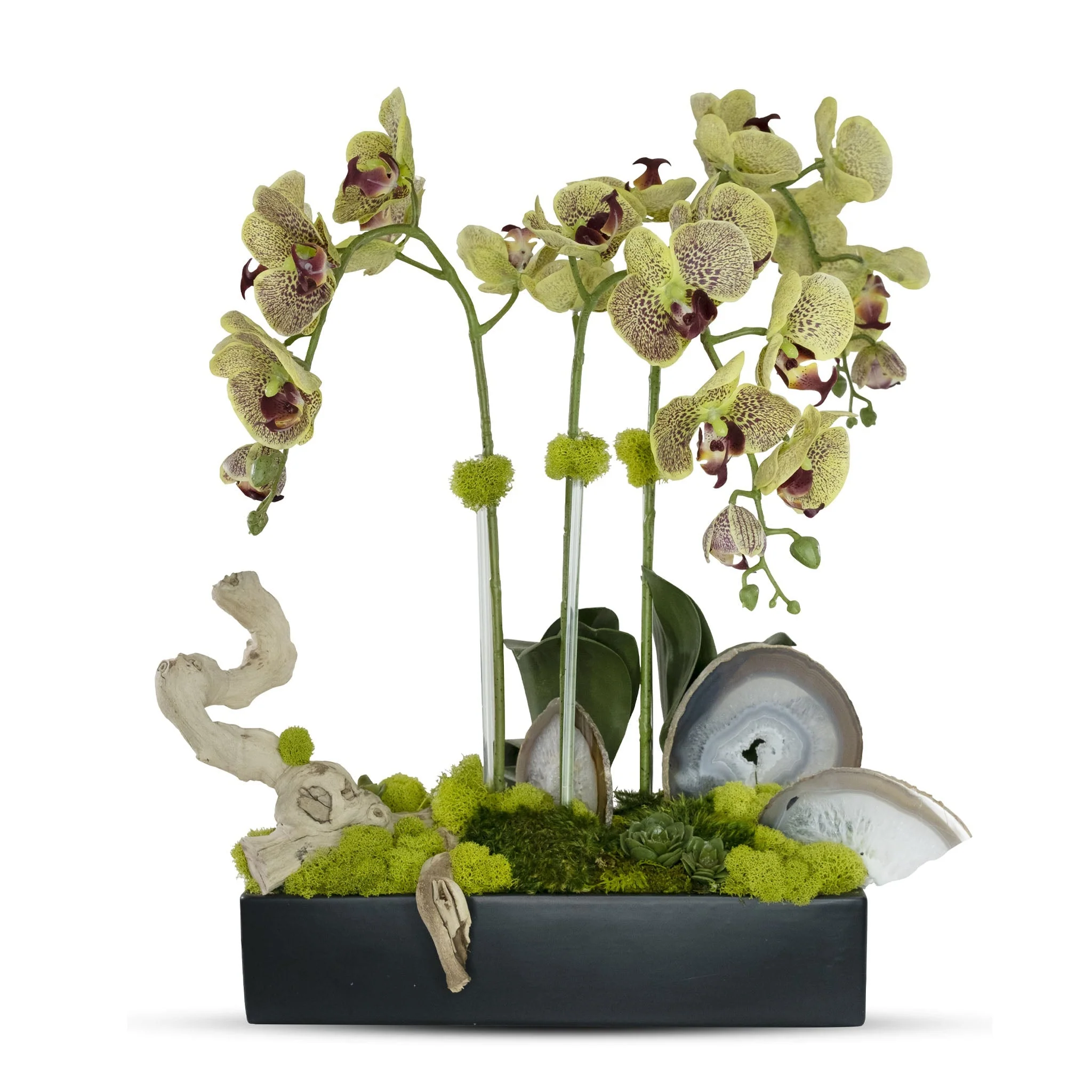 Orchids in Rectangle Ceramic Container - Image 2
