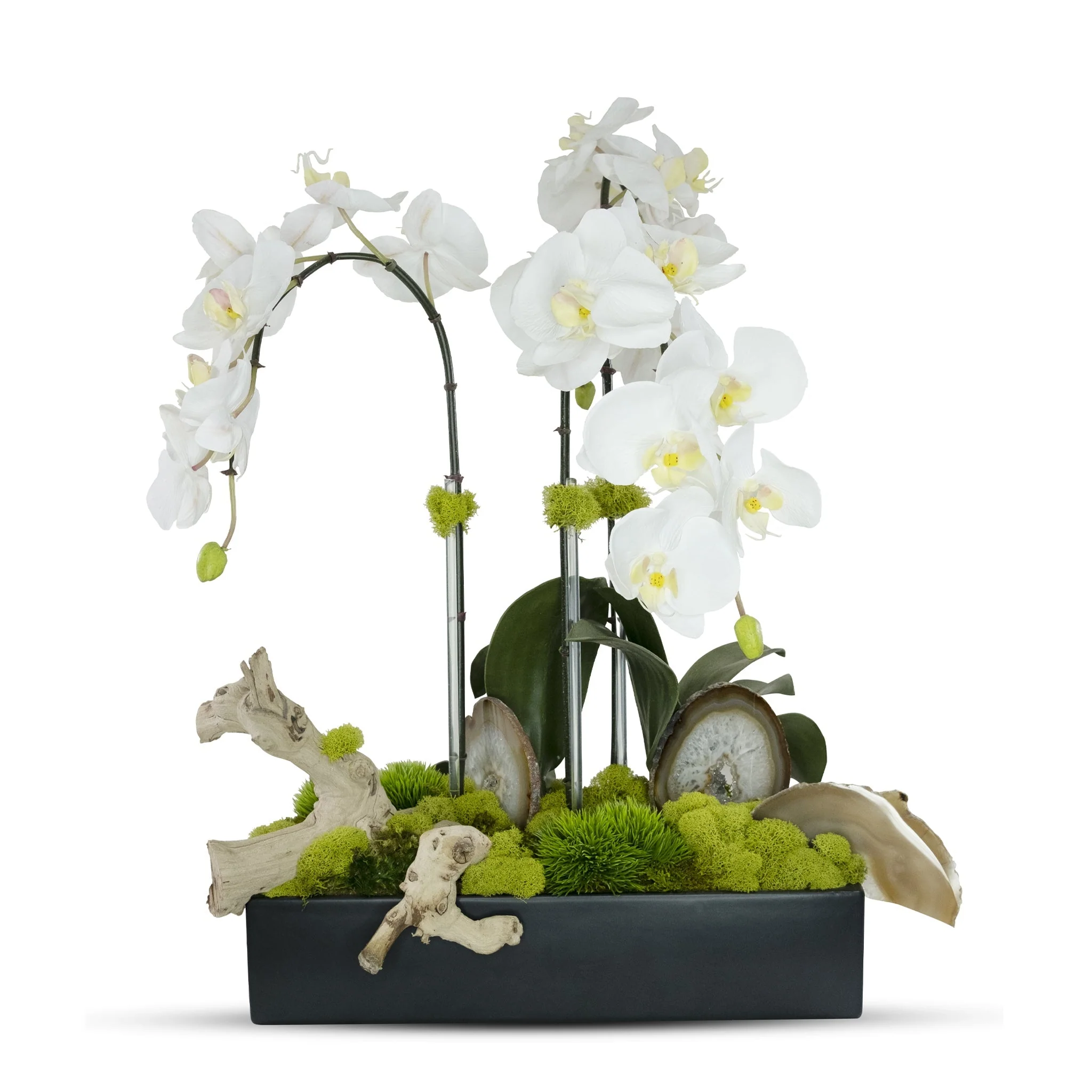 Orchids in Rectangle Ceramic Container - Image 3