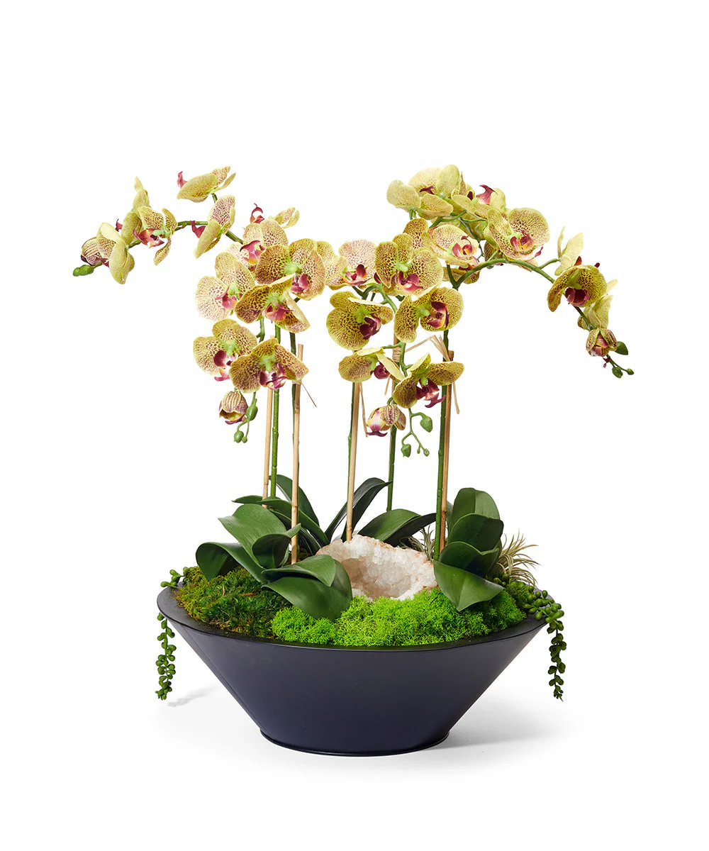 Orchids in Sleek Round Container - Image 2