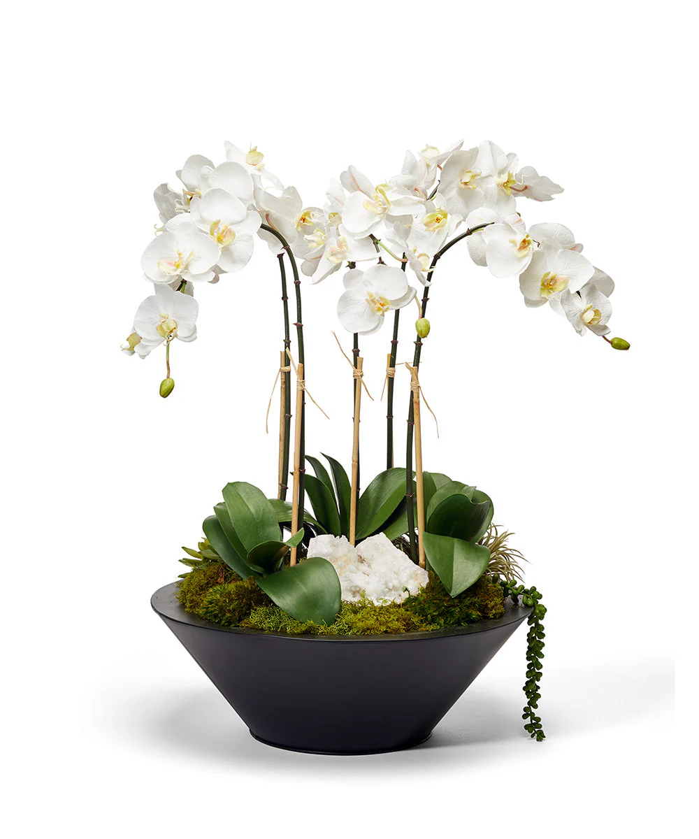 Orchids in Sleek Round Container - Image 3