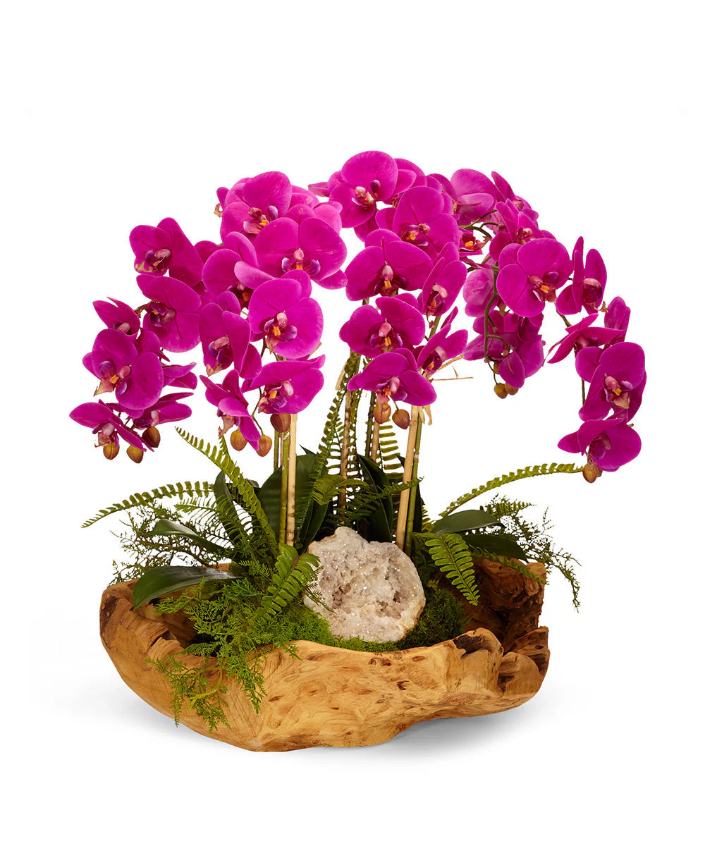 Orchids in Wood Bowl