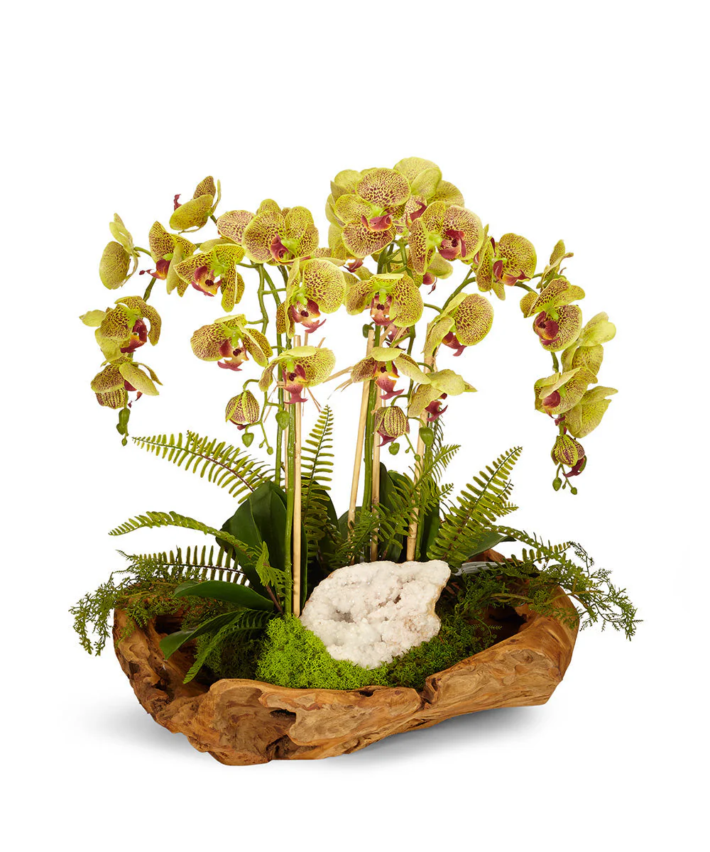 Orchids in Wood Bowl - Image 2