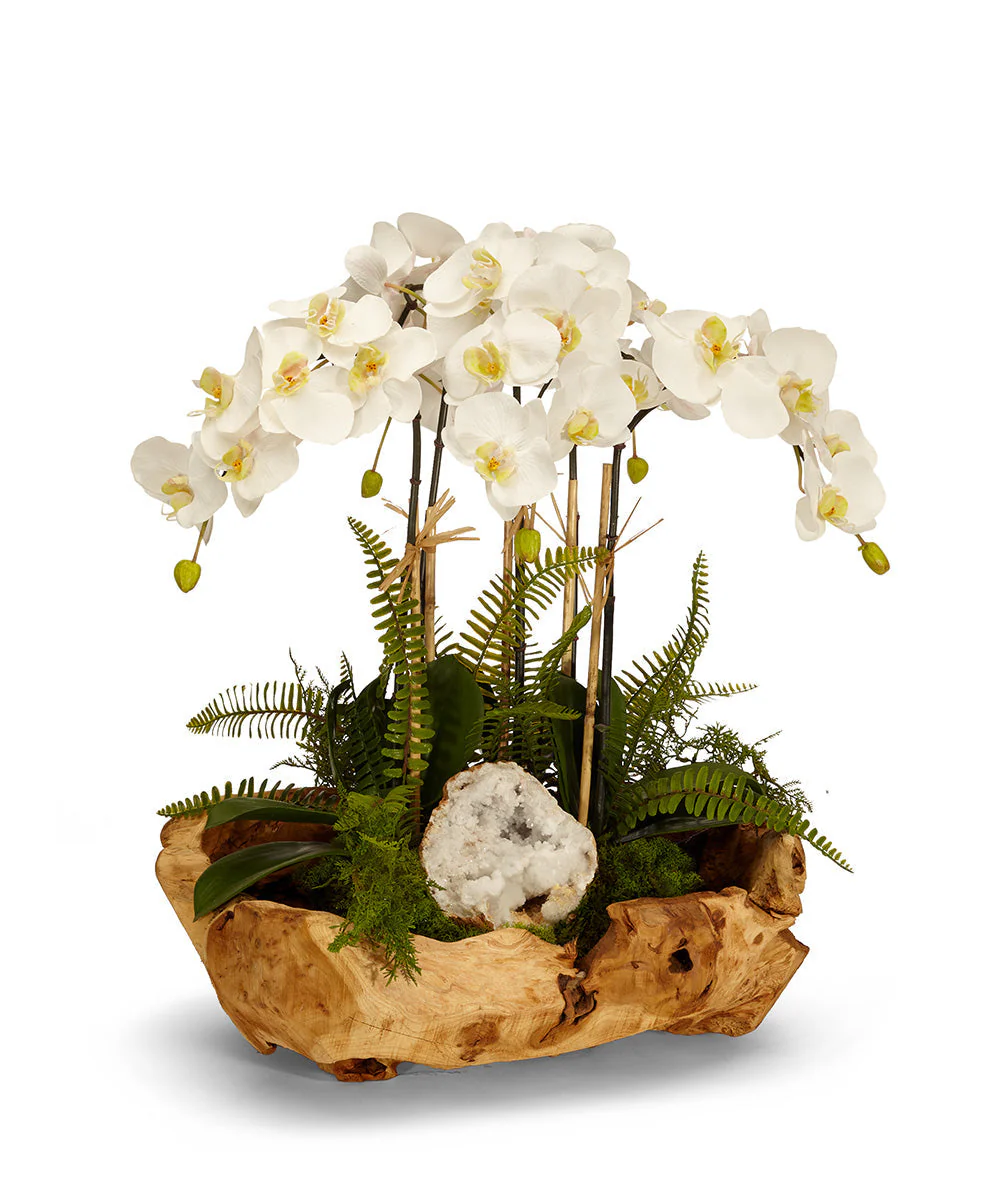 Orchids in Wood Bowl - Image 3
