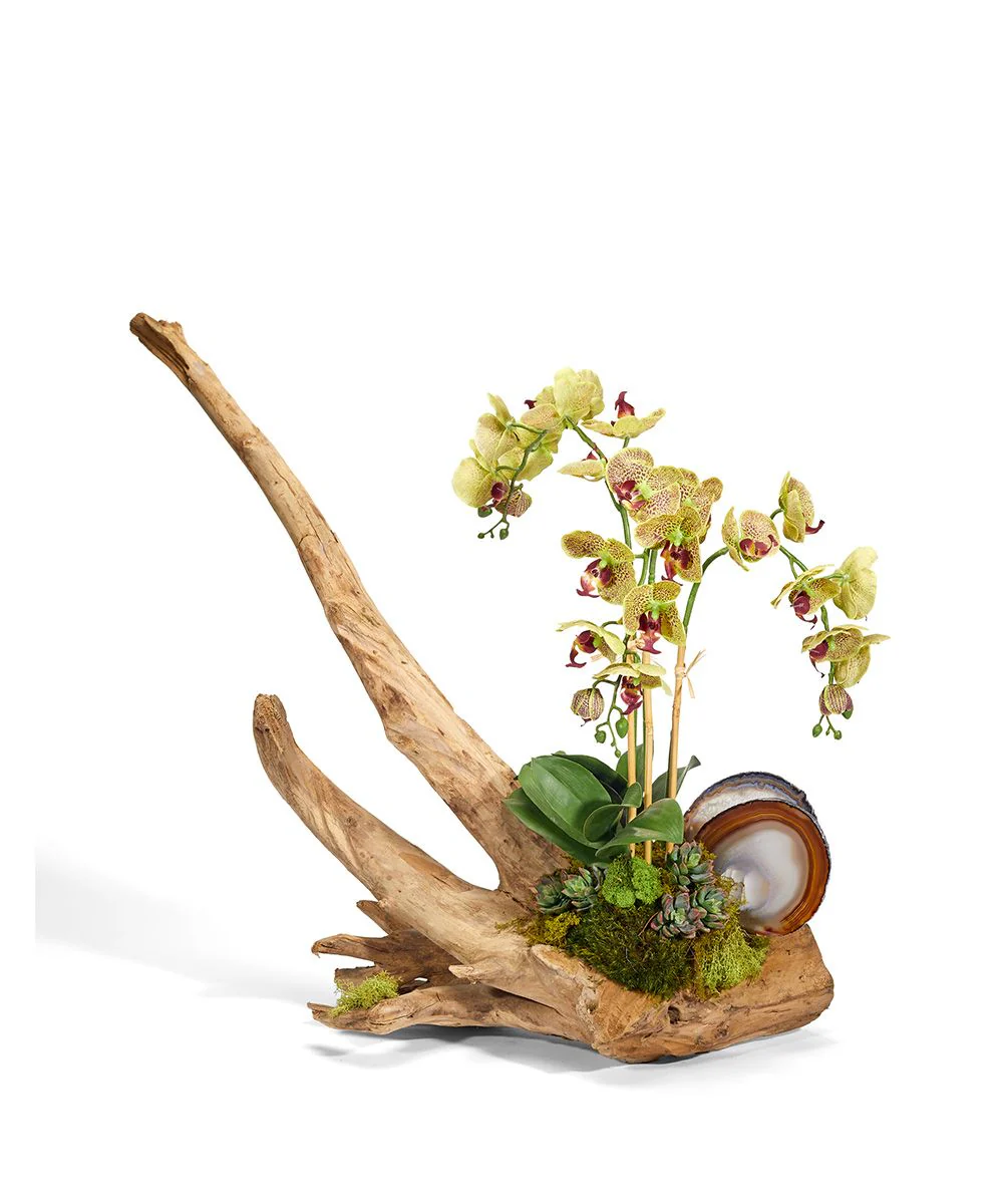 Orchids on Driftwood - Image 2