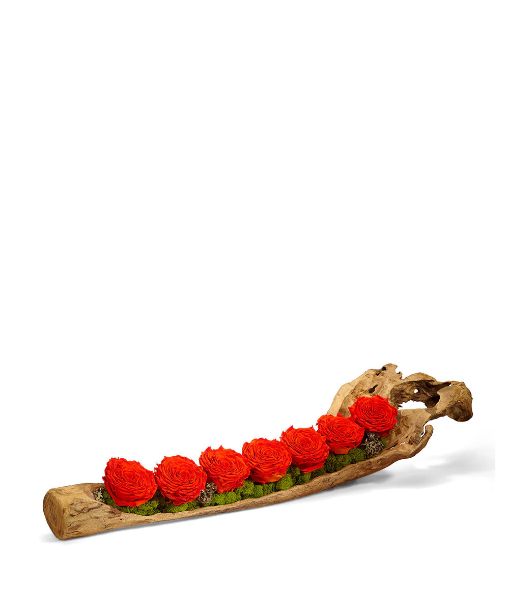 Perfectly Preserved Roses - Image 4