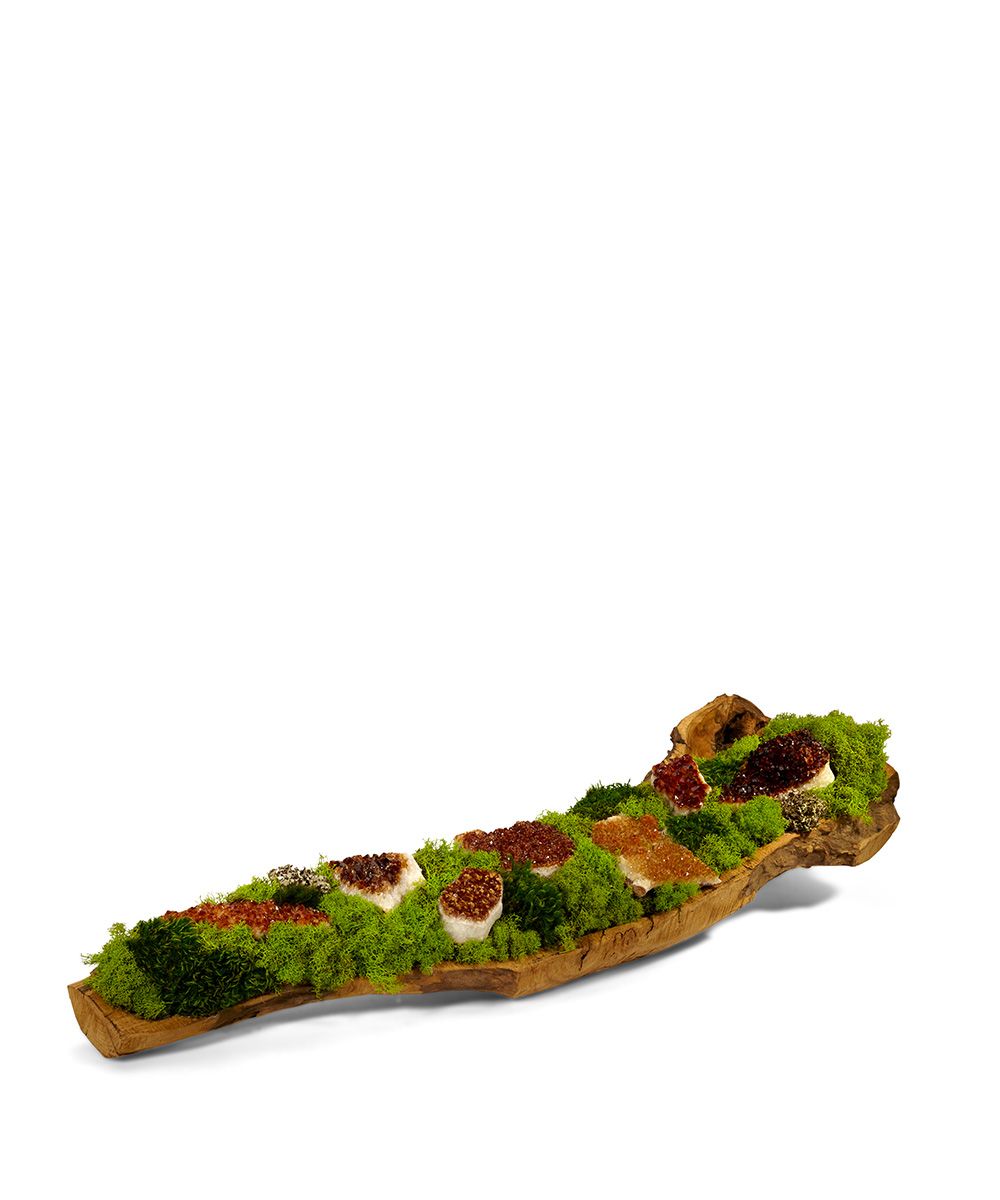 Preserved Moss & Geodes in Wooden Log - Image 2