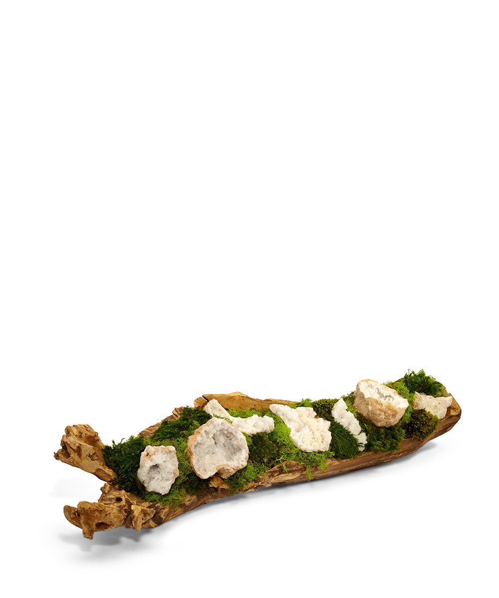 Preserved Moss & Geodes in Wooden Log - Image 4