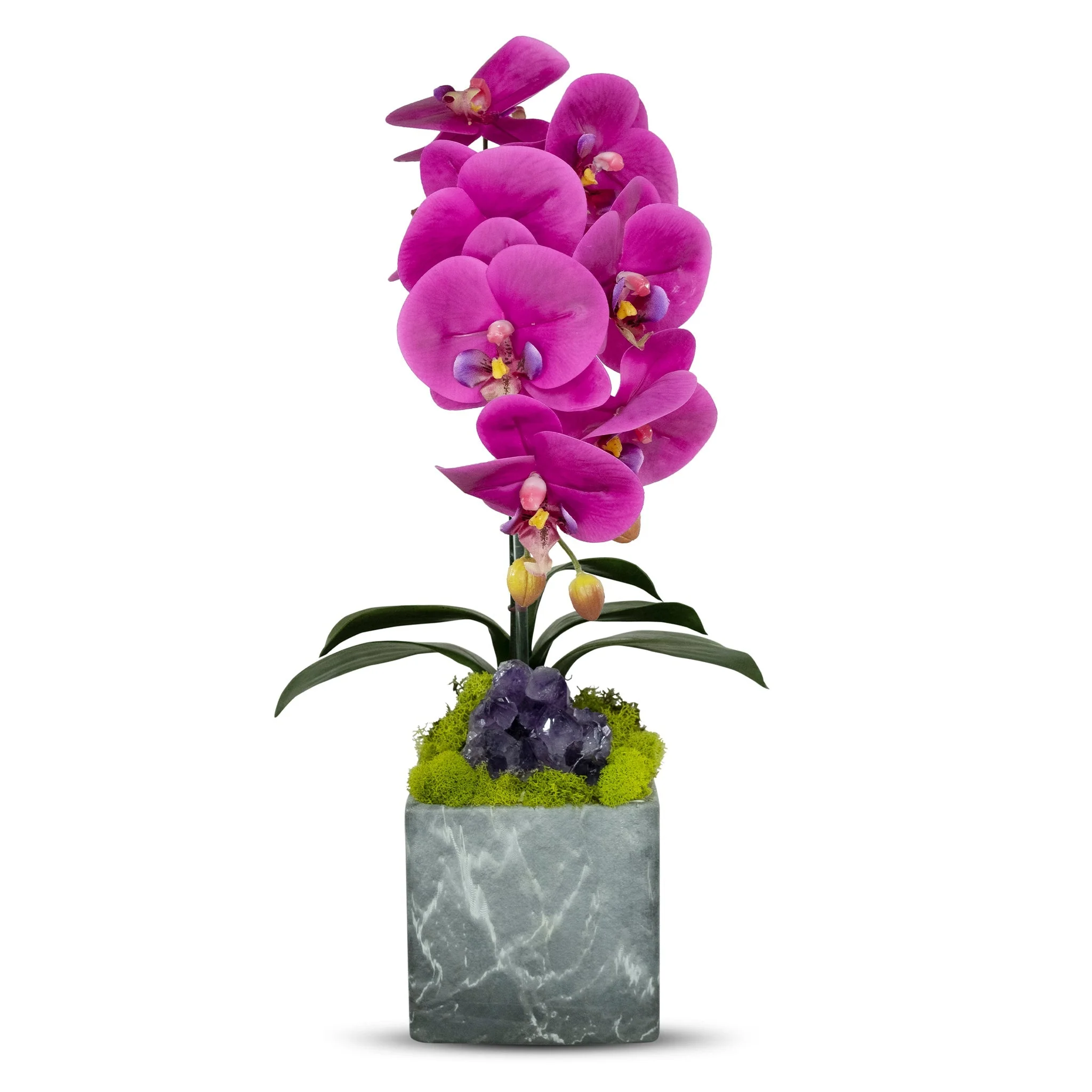 Single Orchid in Faux Marble Container