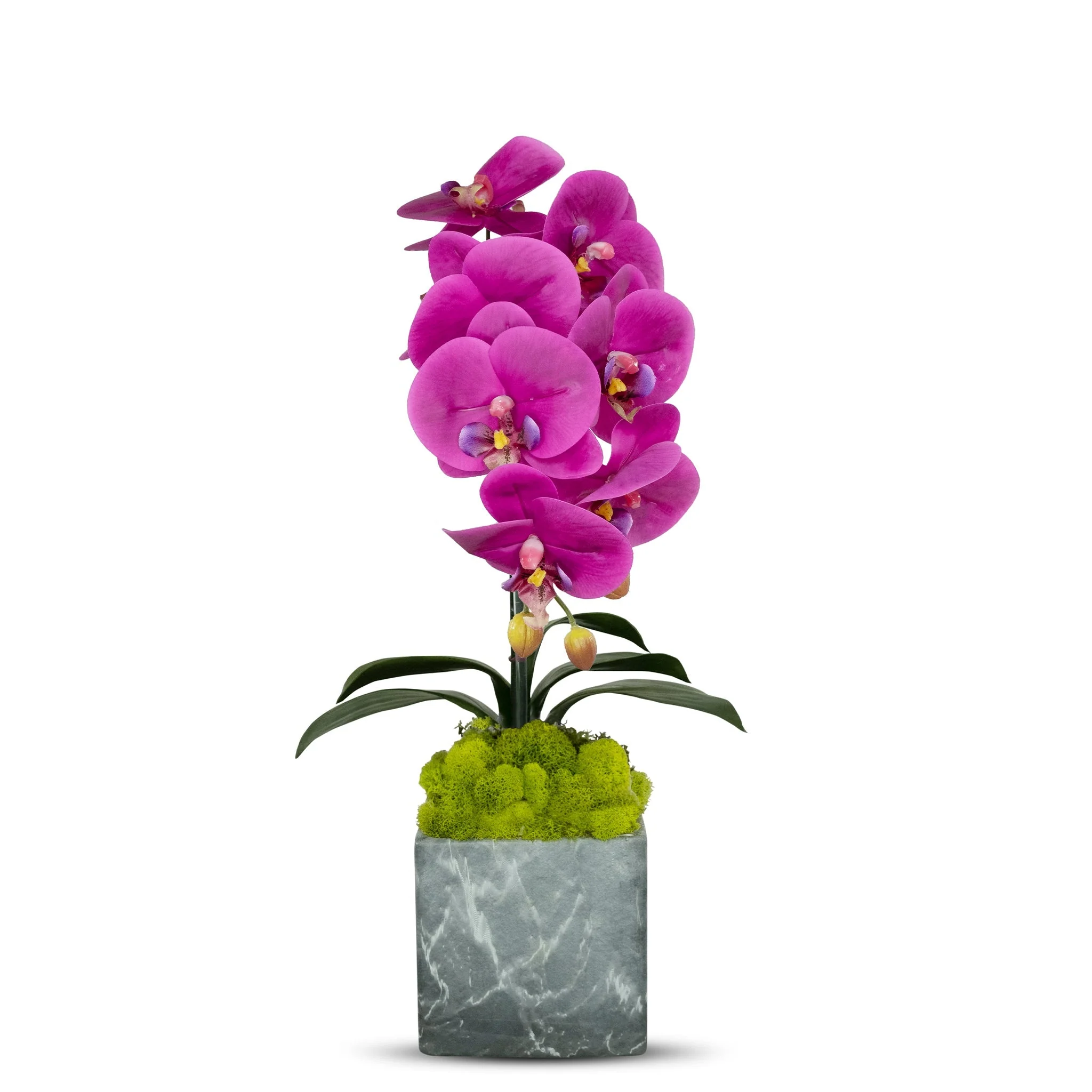 Single Orchid in Faux Marble Container - Image 2