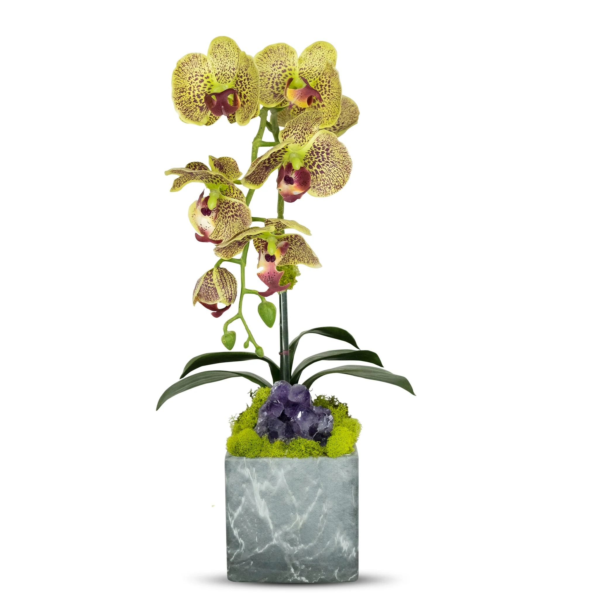 Single Orchid in Faux Marble Container - Image 3