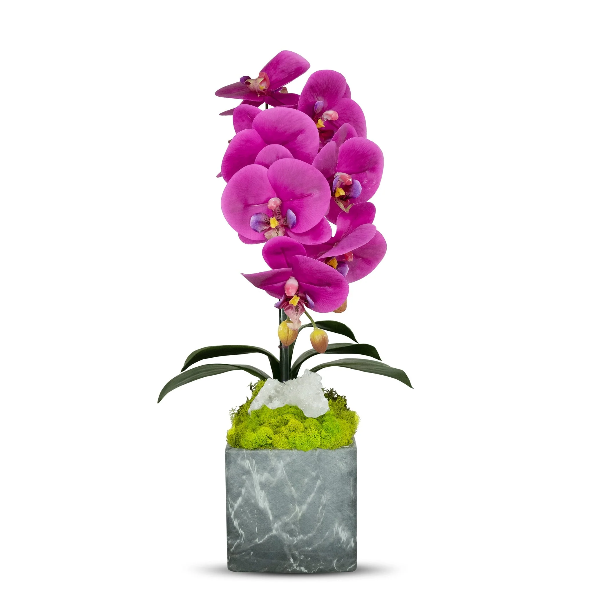 Single Orchid in Faux Marble Container - Image 4