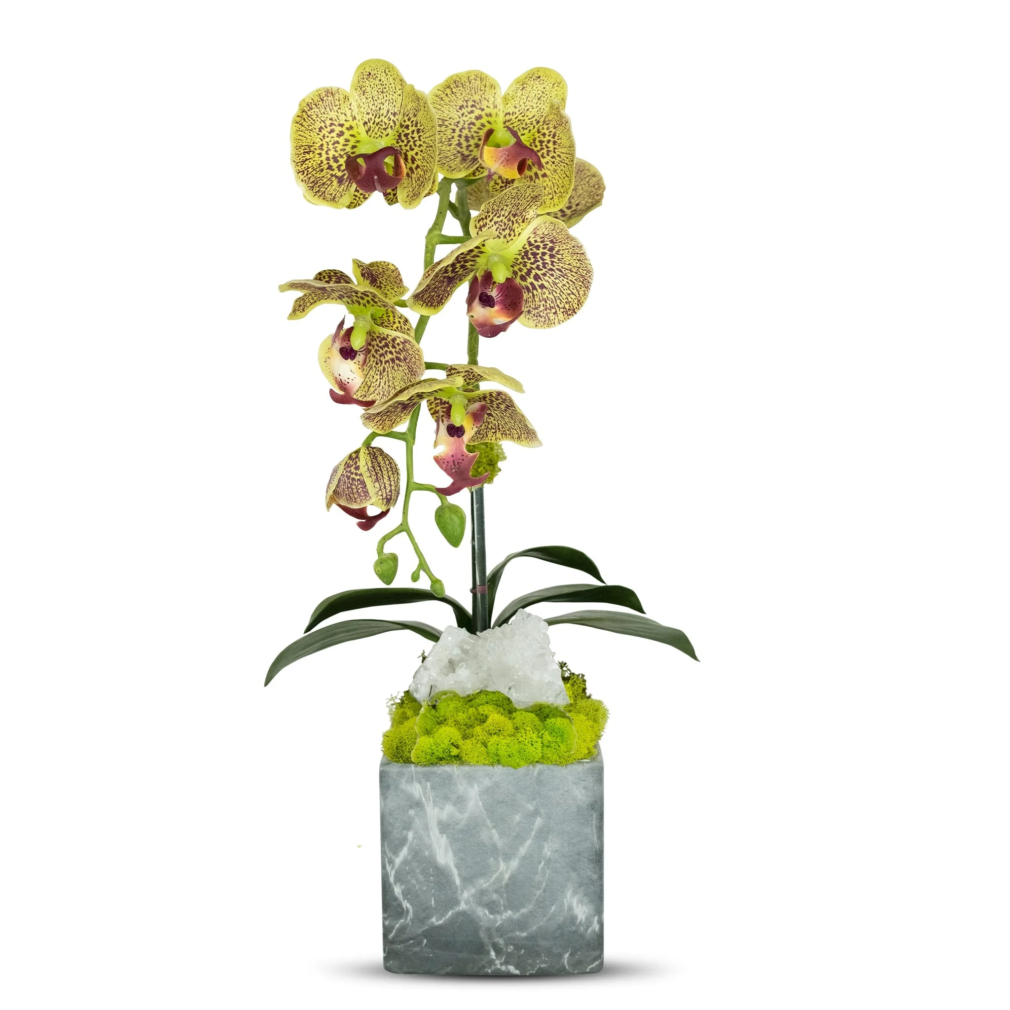 Single Orchid in Faux Marble Container - Image 6