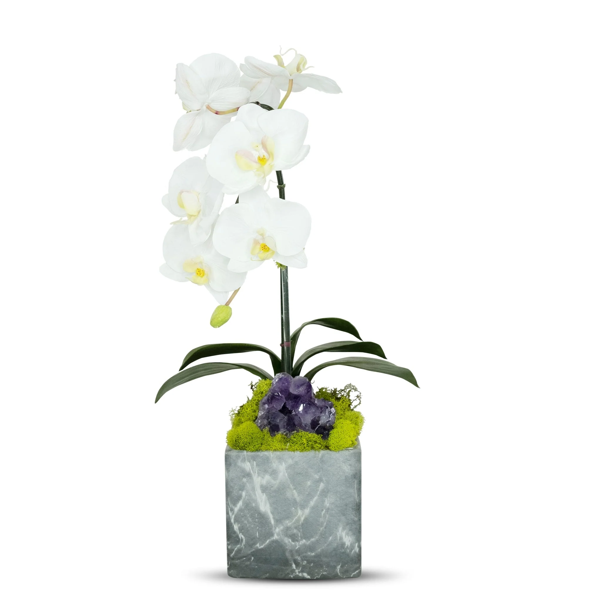 Single Orchid in Faux Marble Container - Image 7