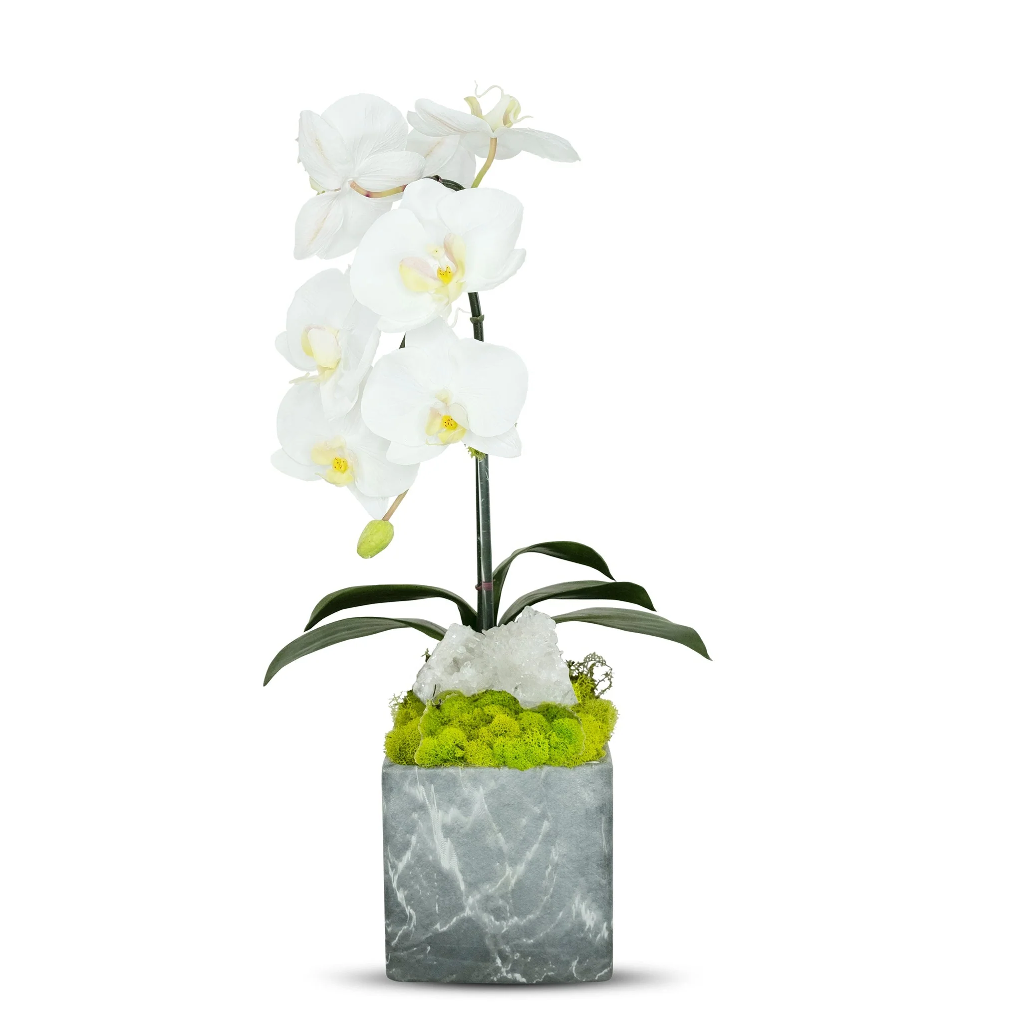 Single Orchid in Faux Marble Container - Image 9