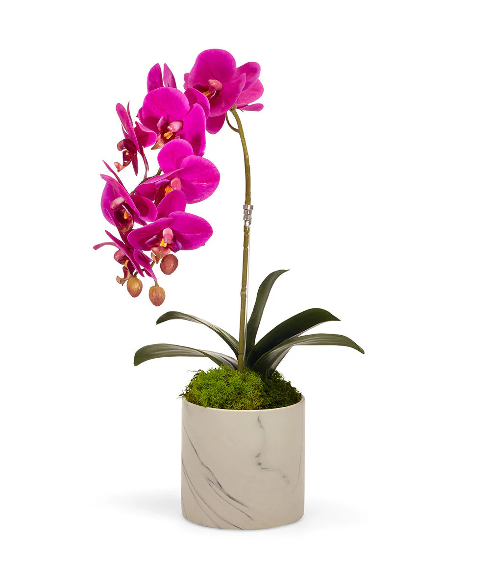 Single Orchid in White Faux Marble Container