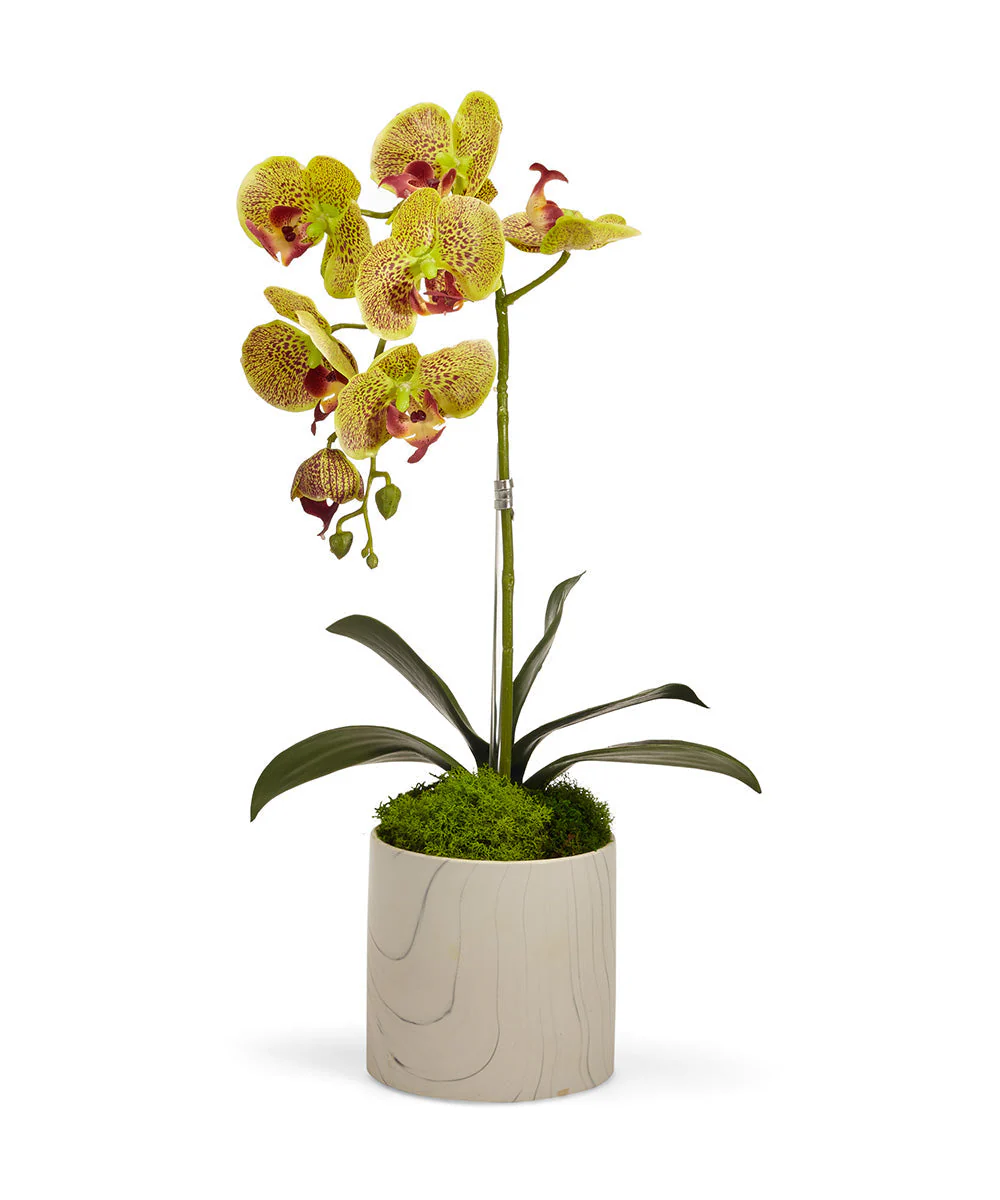 Single Orchid in White Faux Marble Container - Image 3