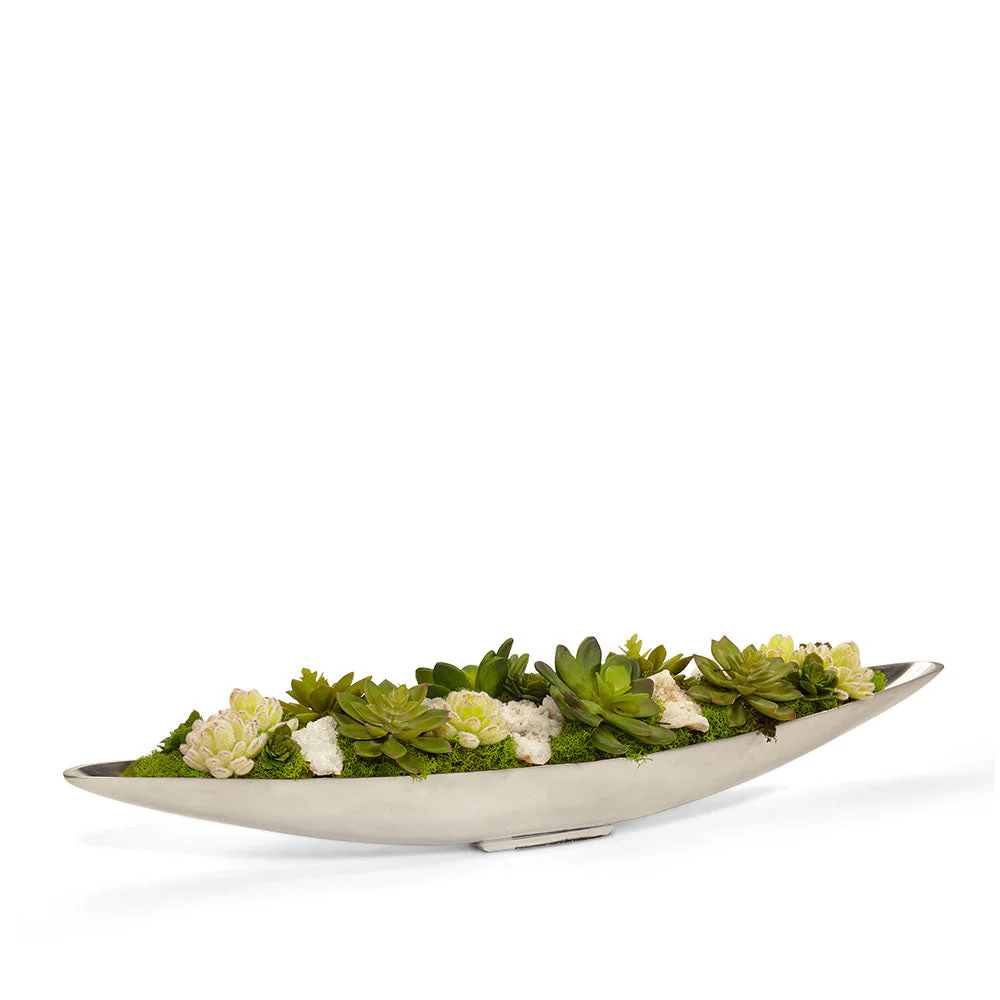Succulents in Silver Boat - Image 3
