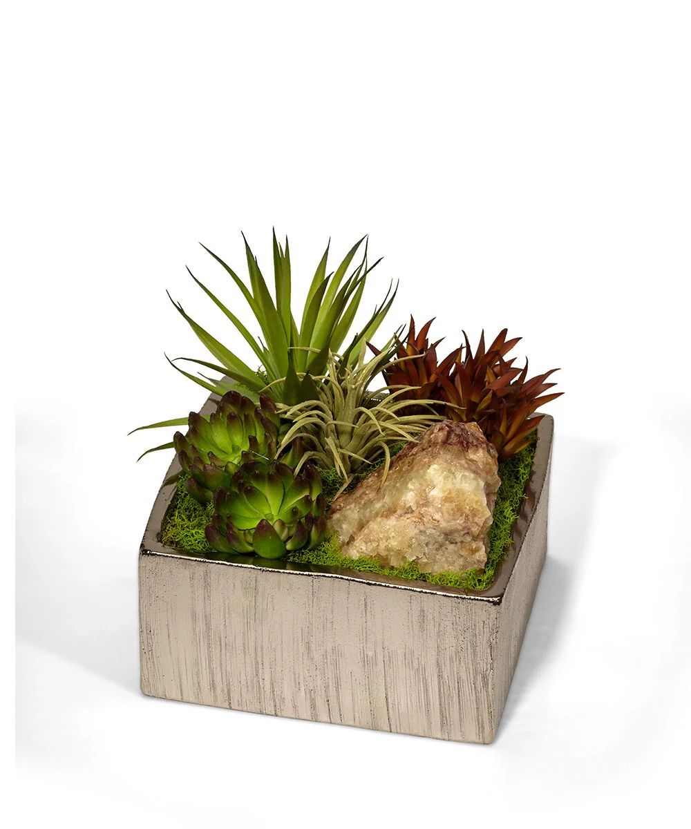 Succulents in Silver Square Container