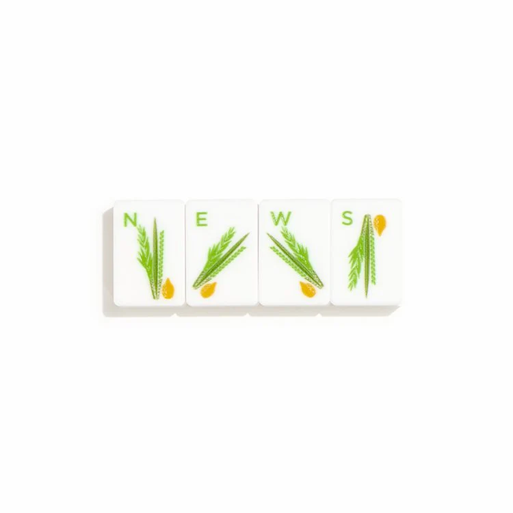 The Chagim Tile Set - Image 8
