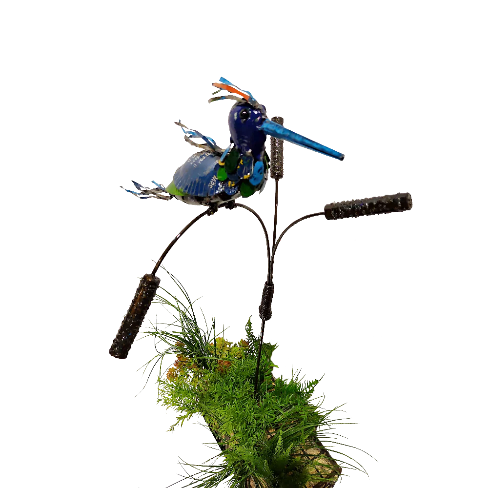 Think Outside Barnyard Kingfisher