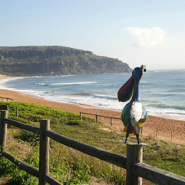 Think Outside Pete the Pelican - Image 3