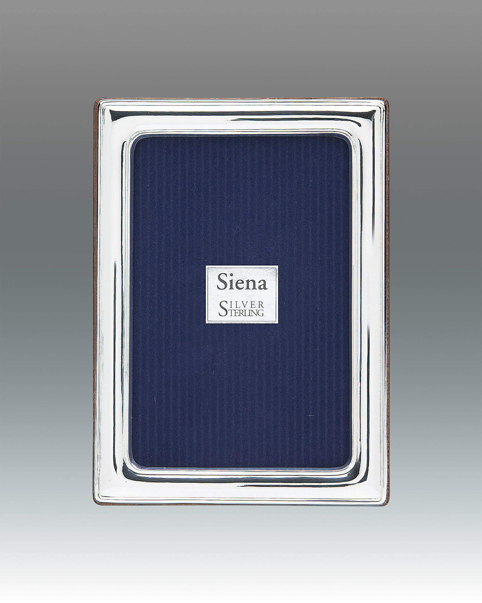 Tizo 4x6 Dimensional Smooth Siena Sterling Frame