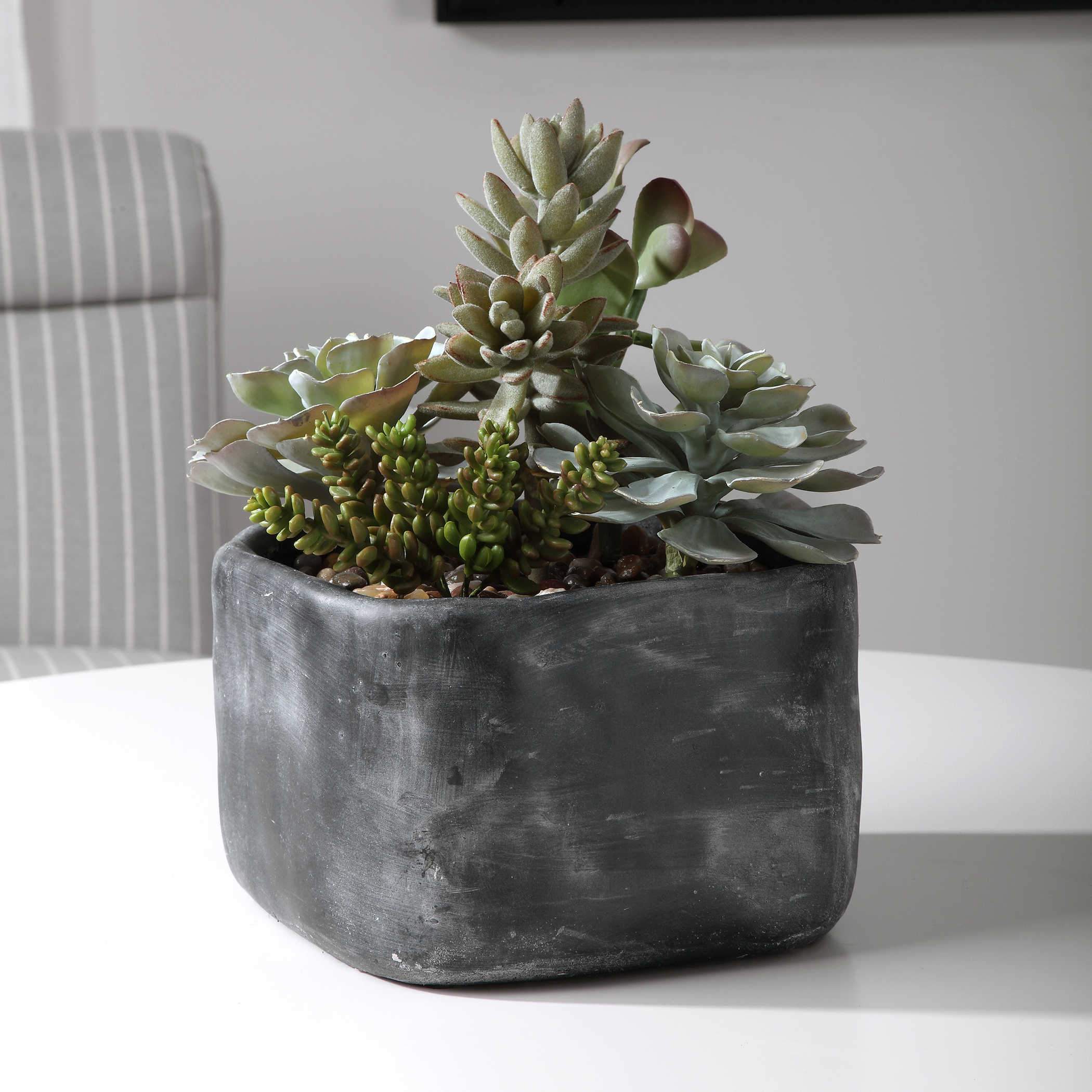 Uttermost Alverio Succulents