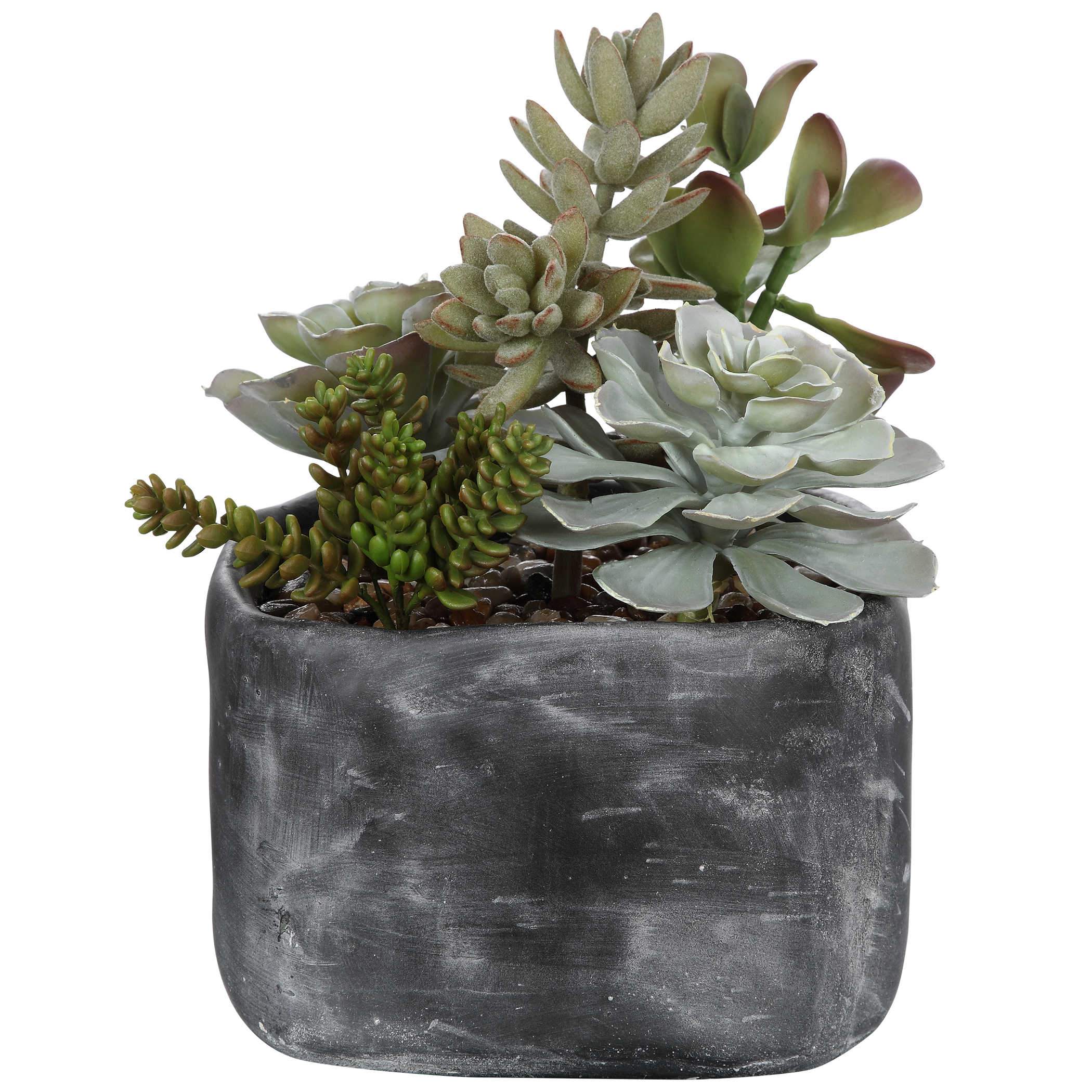 Uttermost Alverio Succulents - Image 2