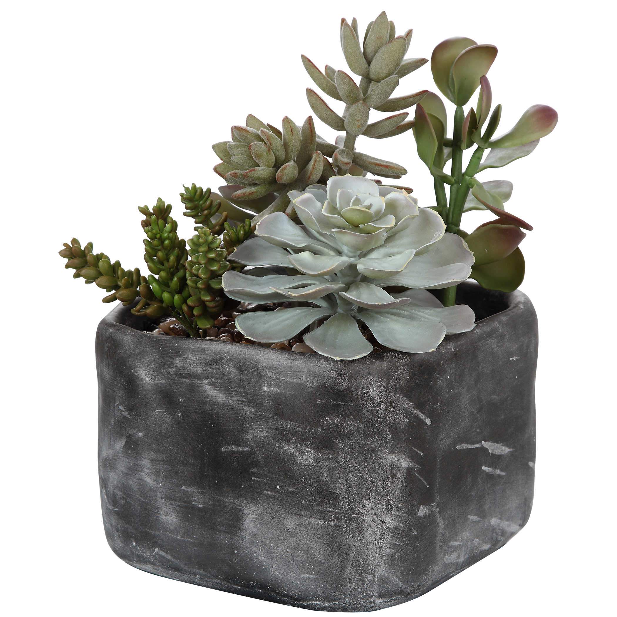 Uttermost Alverio Succulents - Image 4