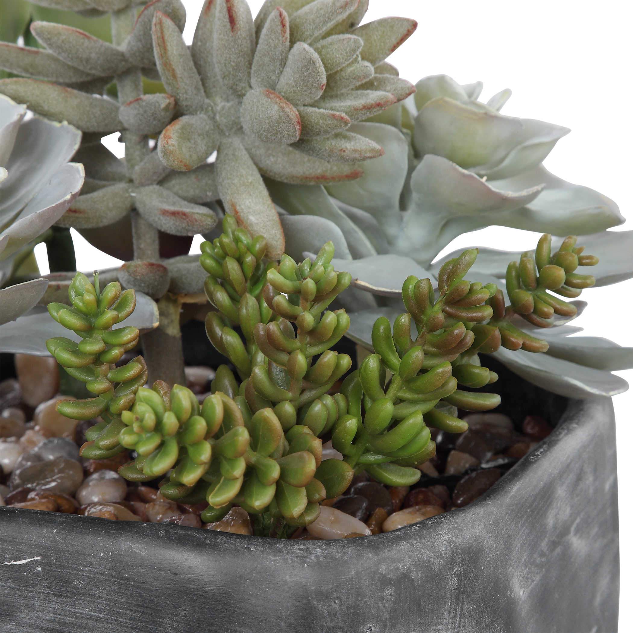 Uttermost Alverio Succulents - Image 5