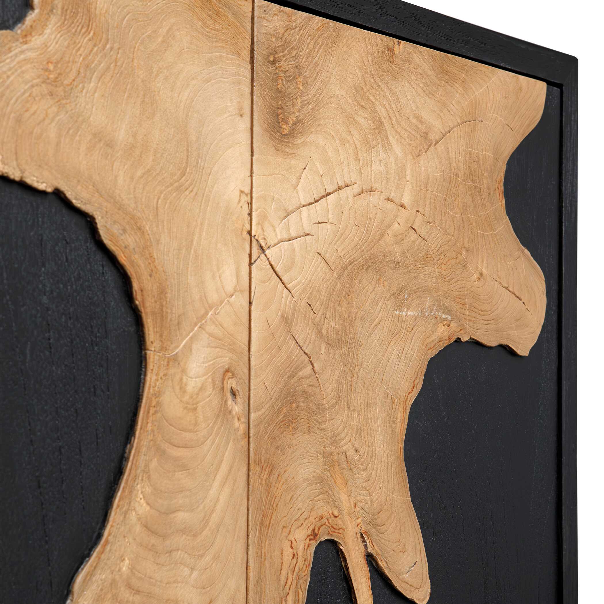 Uttermost Andrei Teak Root 2 Door Cabinet - Image 8