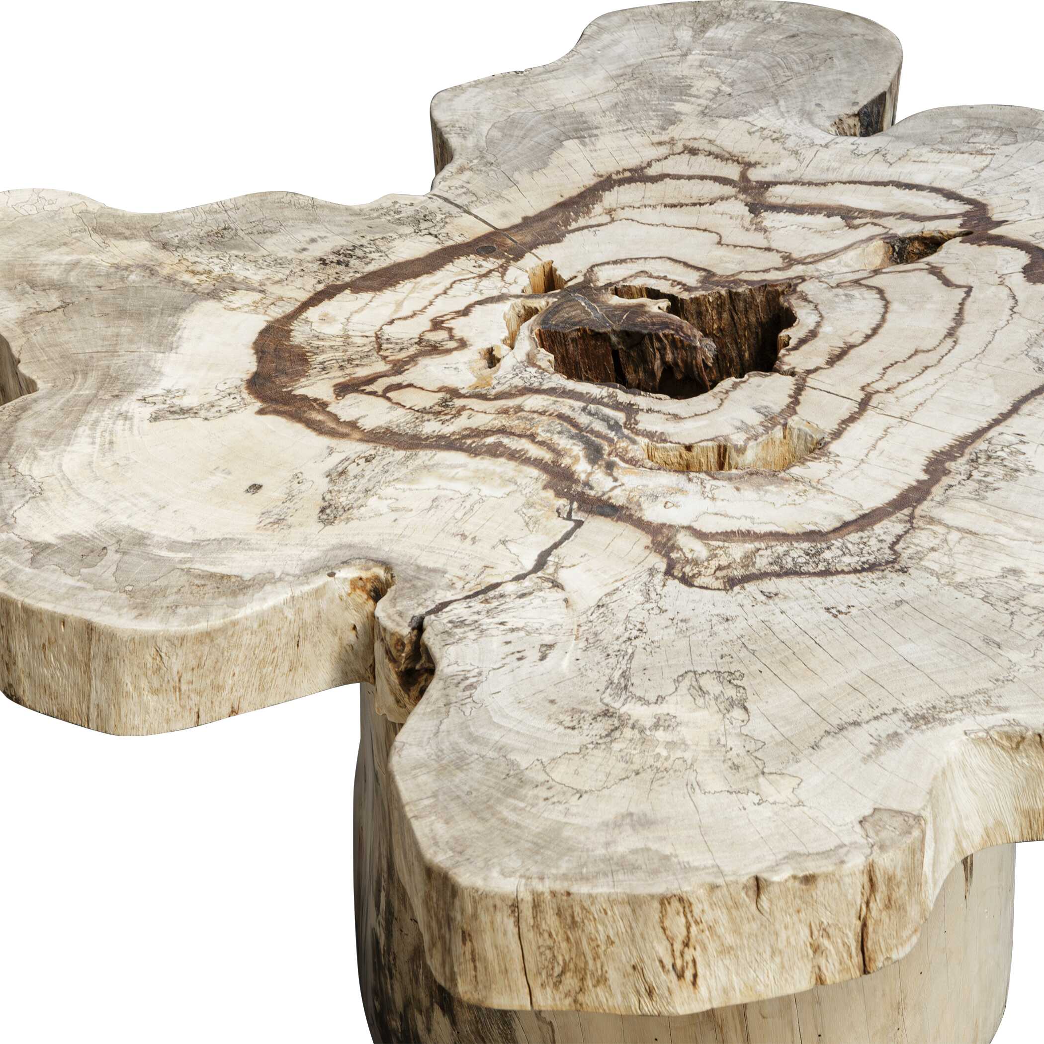 Uttermost Anzalone Solid Wood Coffee Table - Image 6