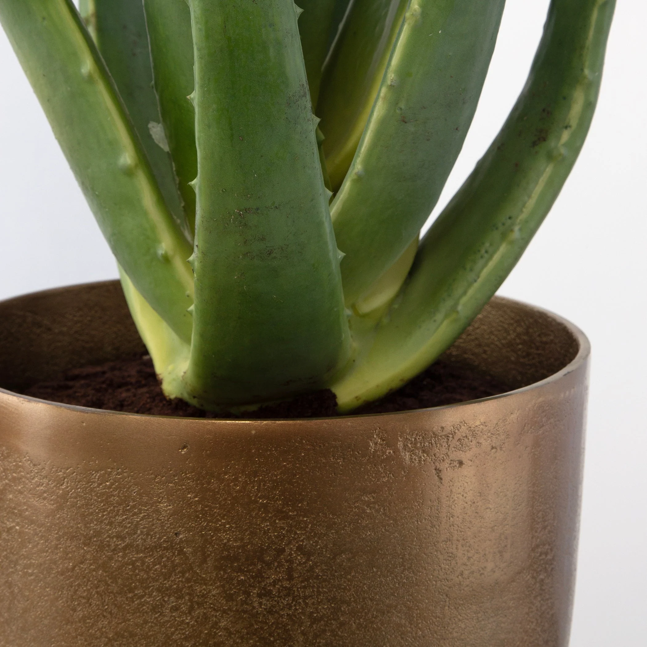 Uttermost Arabia Aloe Planter - Image 4