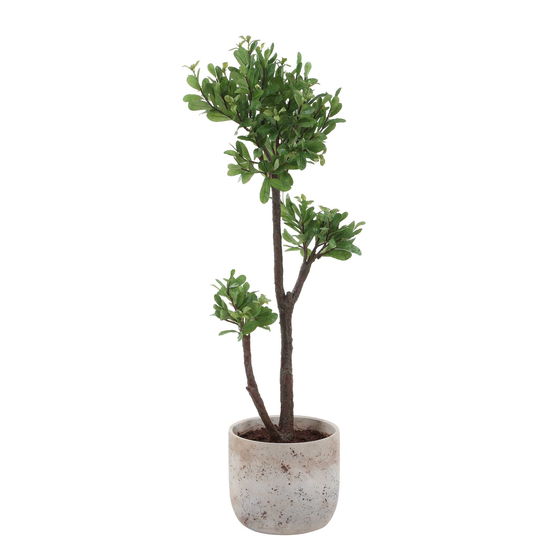 Uttermost Arbor Strawberry Tree - Image 4