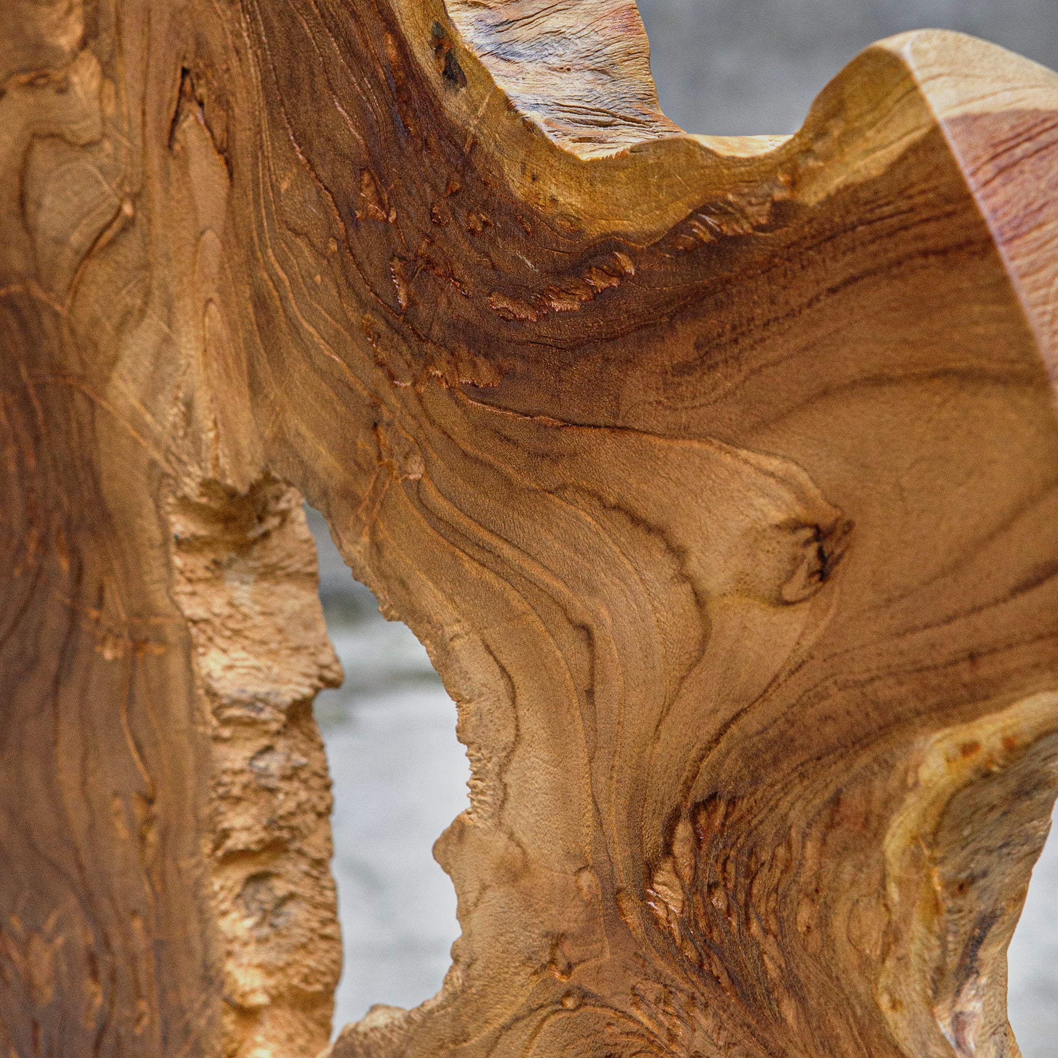Uttermost Bahati Wood Natural Sculpture - Image 6