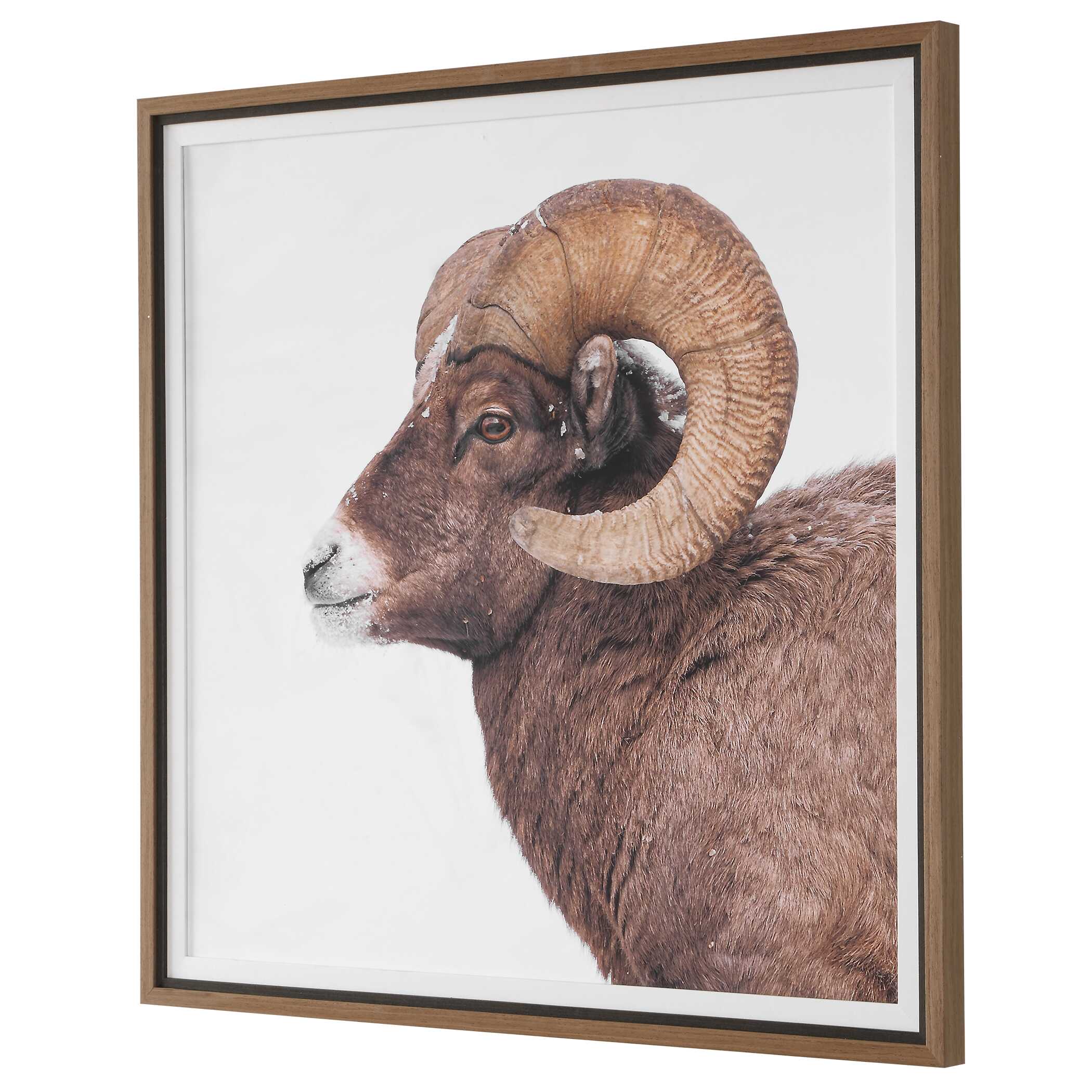 Uttermost Big Horn Sheep Framed Print - Image 5