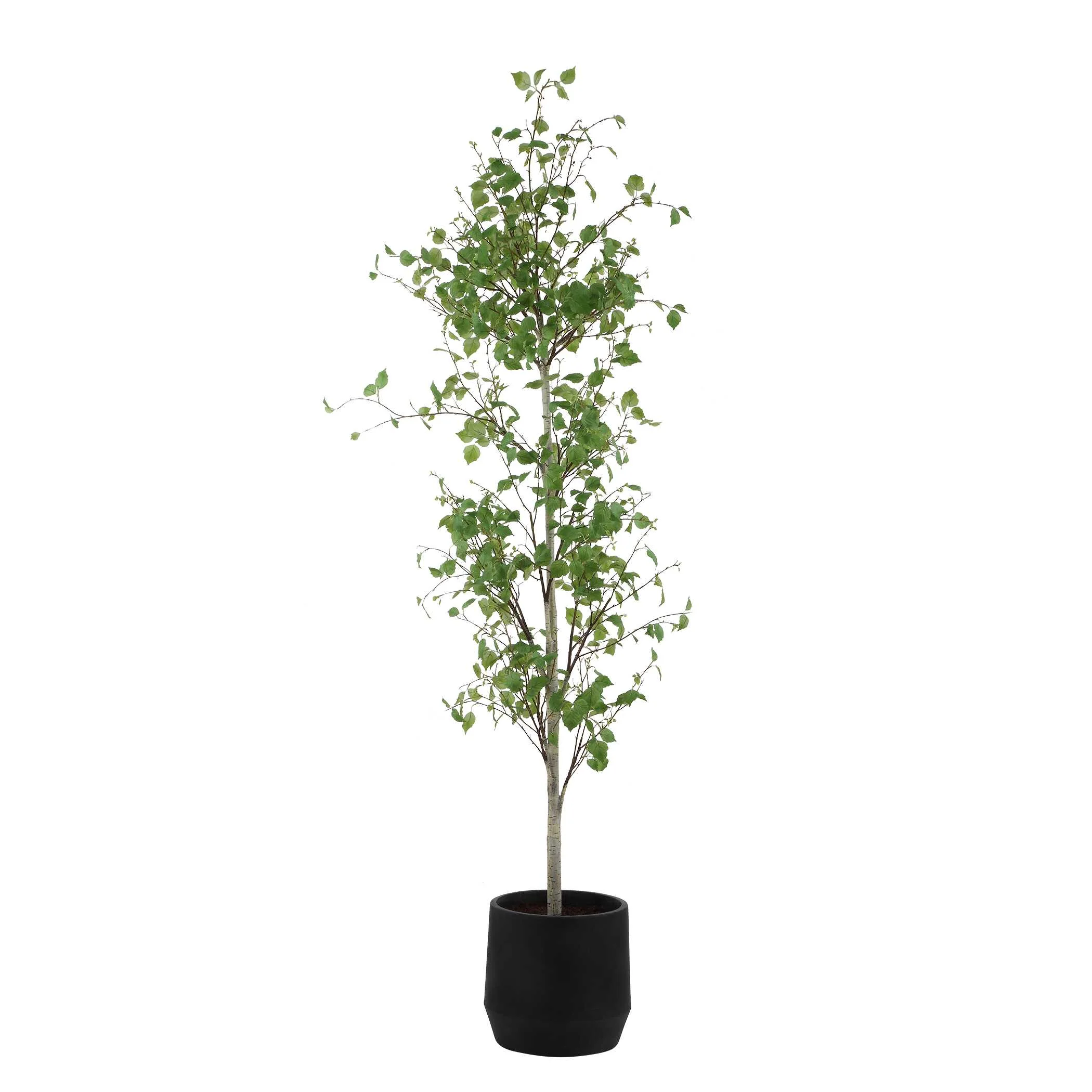 Uttermost Boreal Potted Birch Tree - Image 4