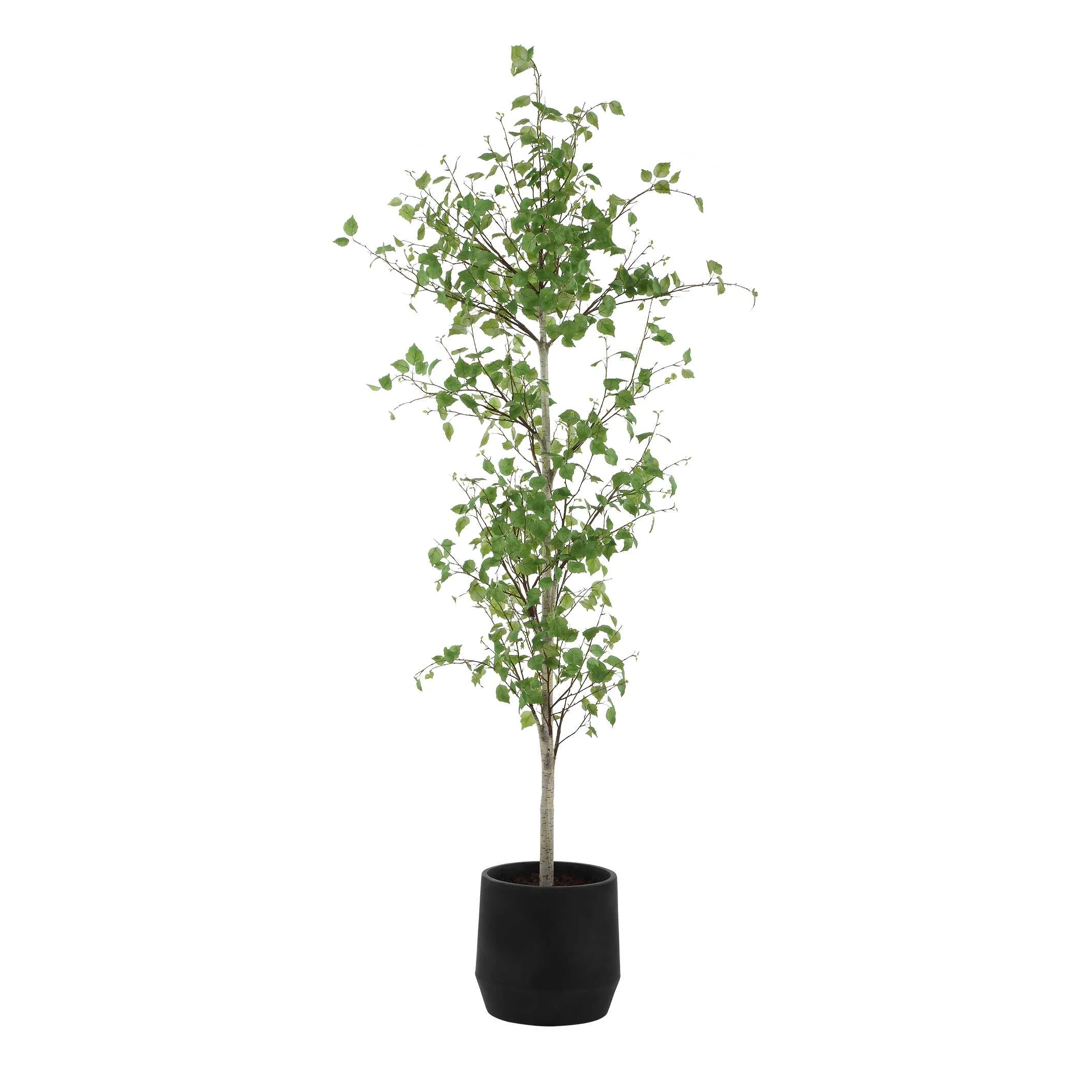 Uttermost Boreal Potted Birch Tree - Image 5