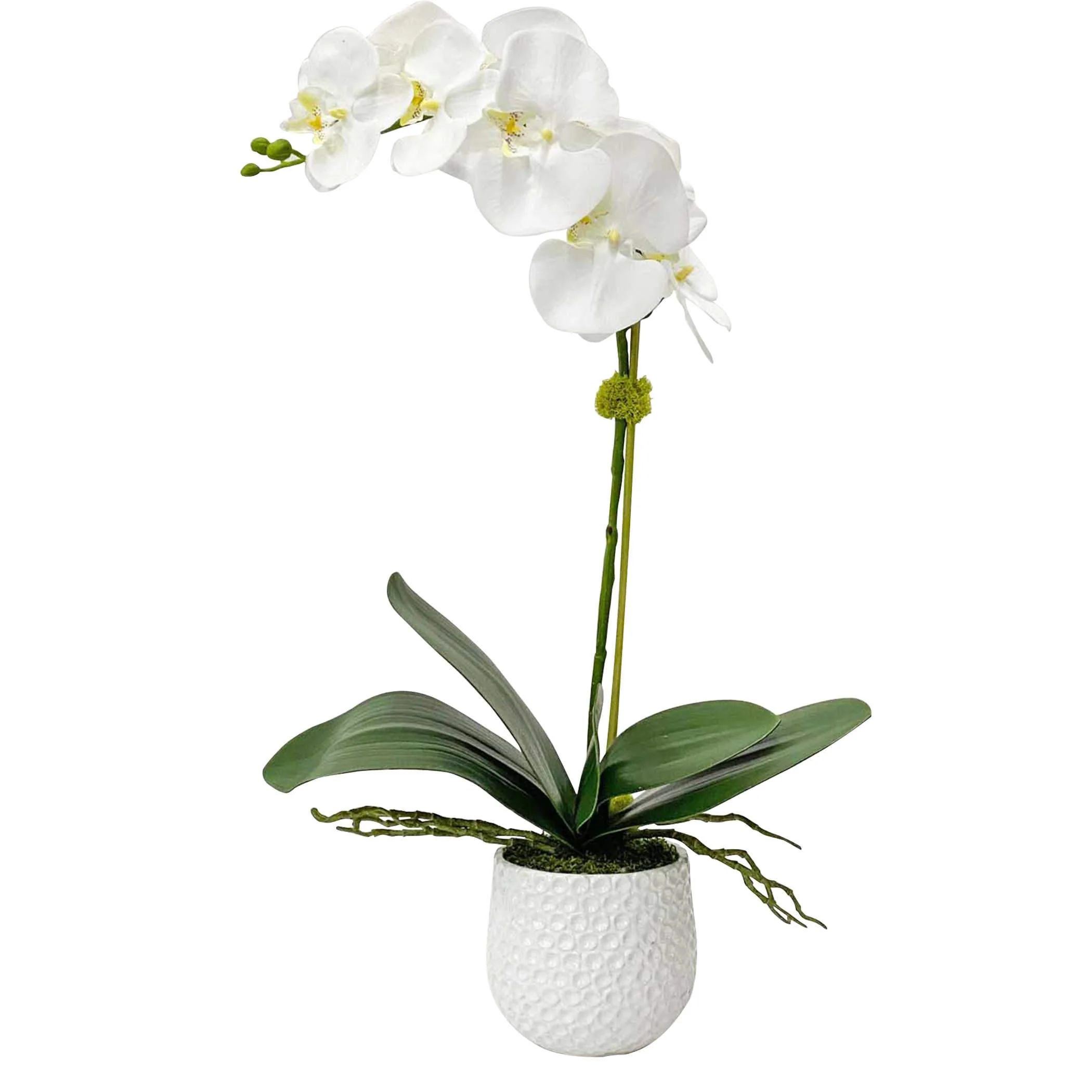 Uttermost Cami Orchid - Image 2