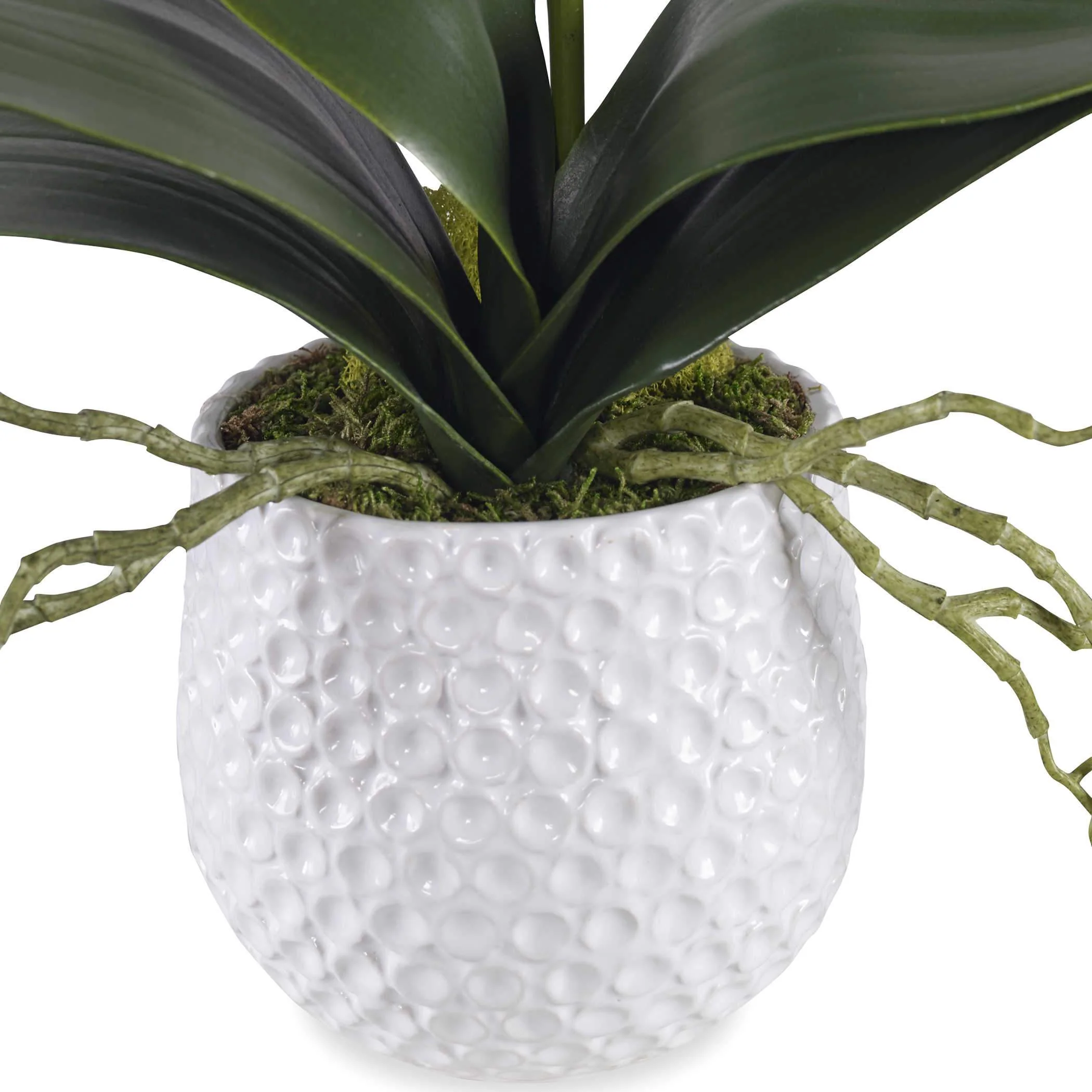 Uttermost Cami Orchid - Image 3