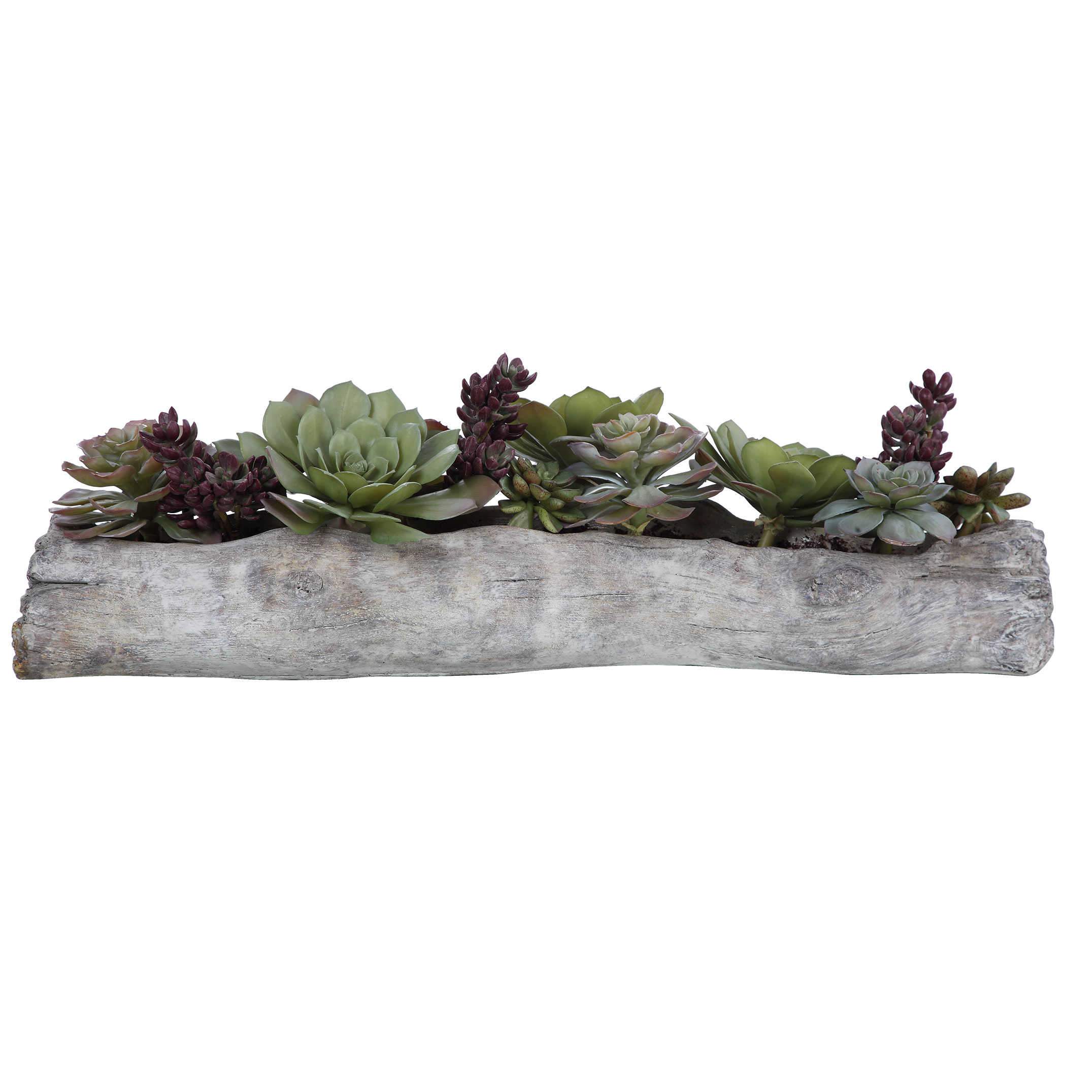 Uttermost Charita Succulents - Image 2