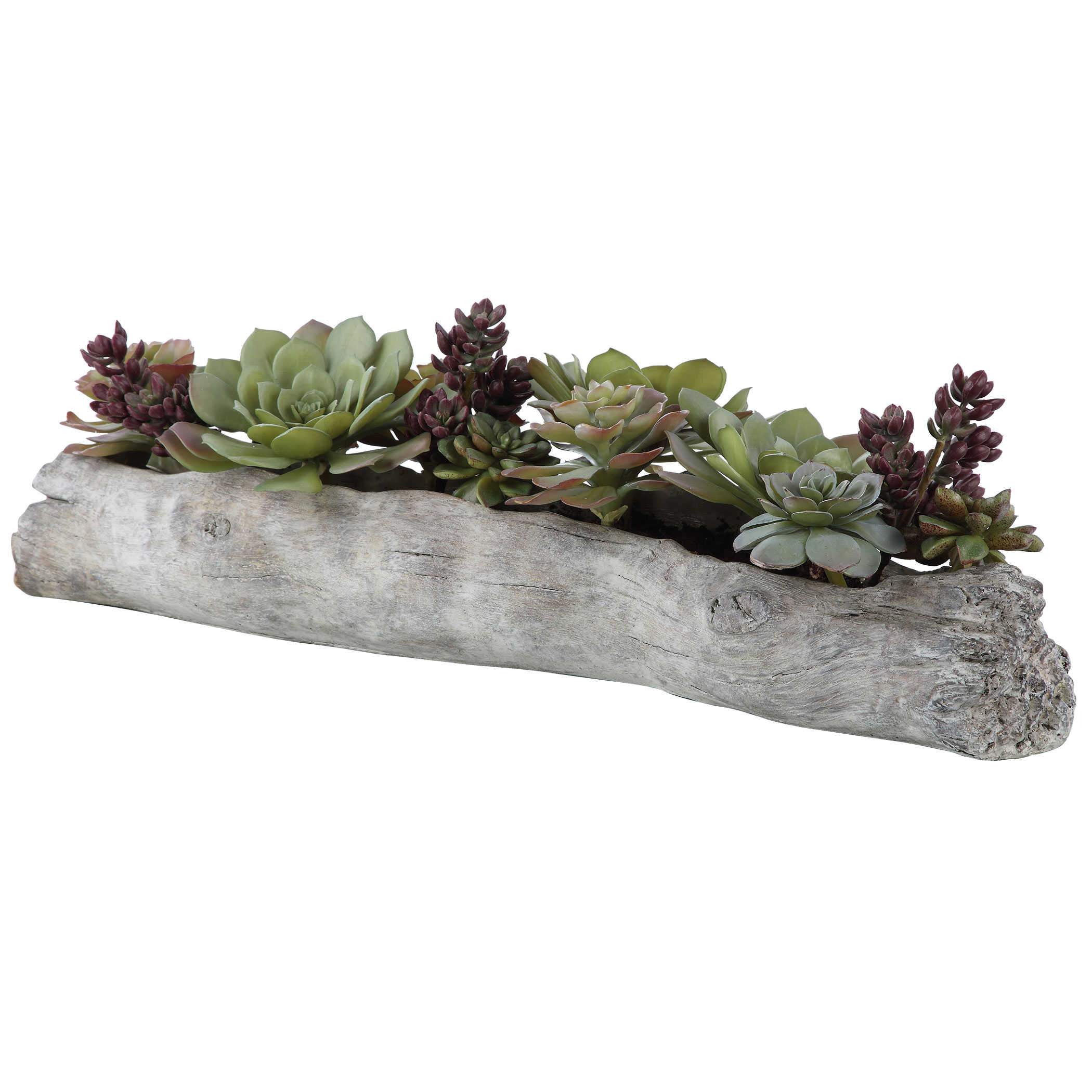 Uttermost Charita Succulents - Image 4