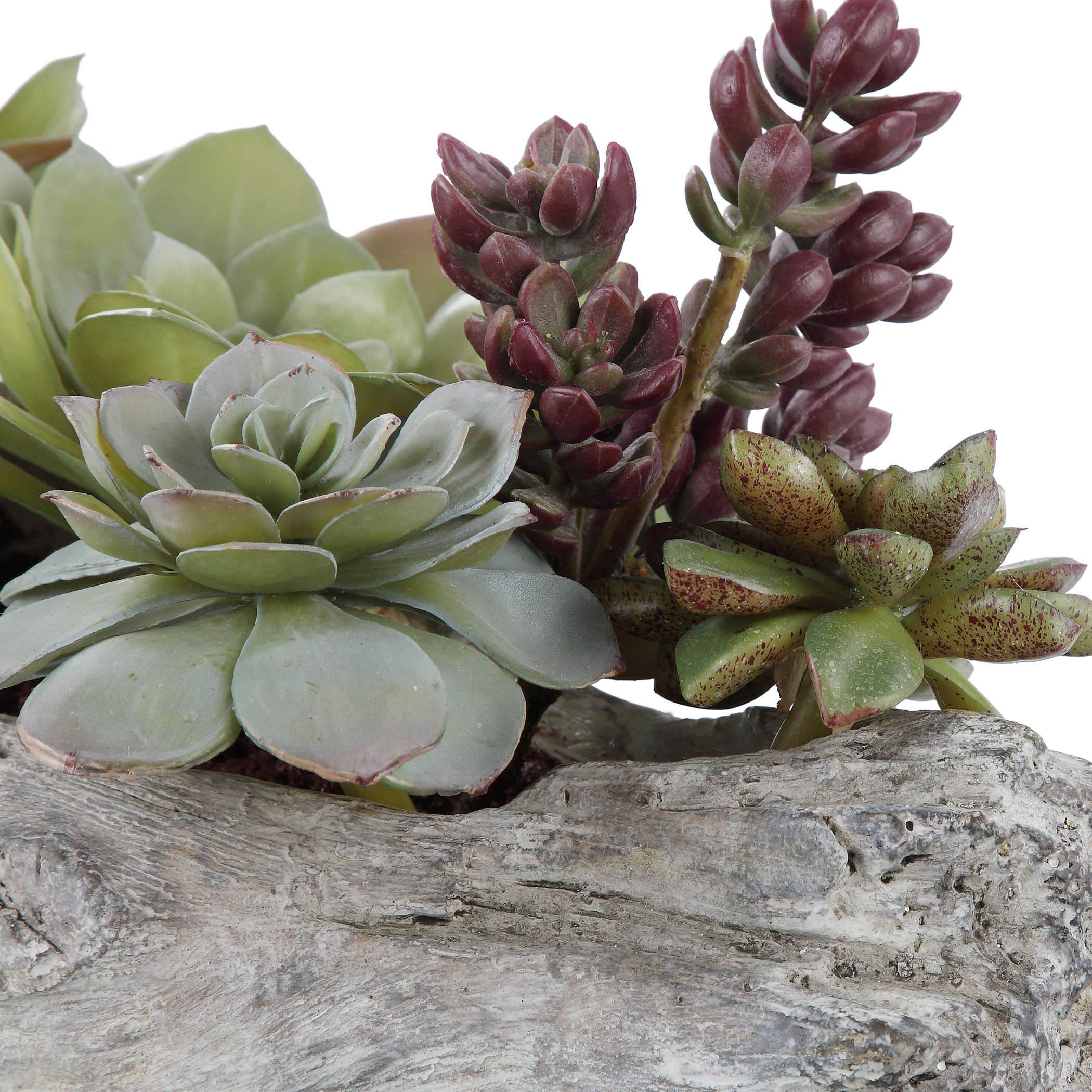 Uttermost Charita Succulents - Image 5